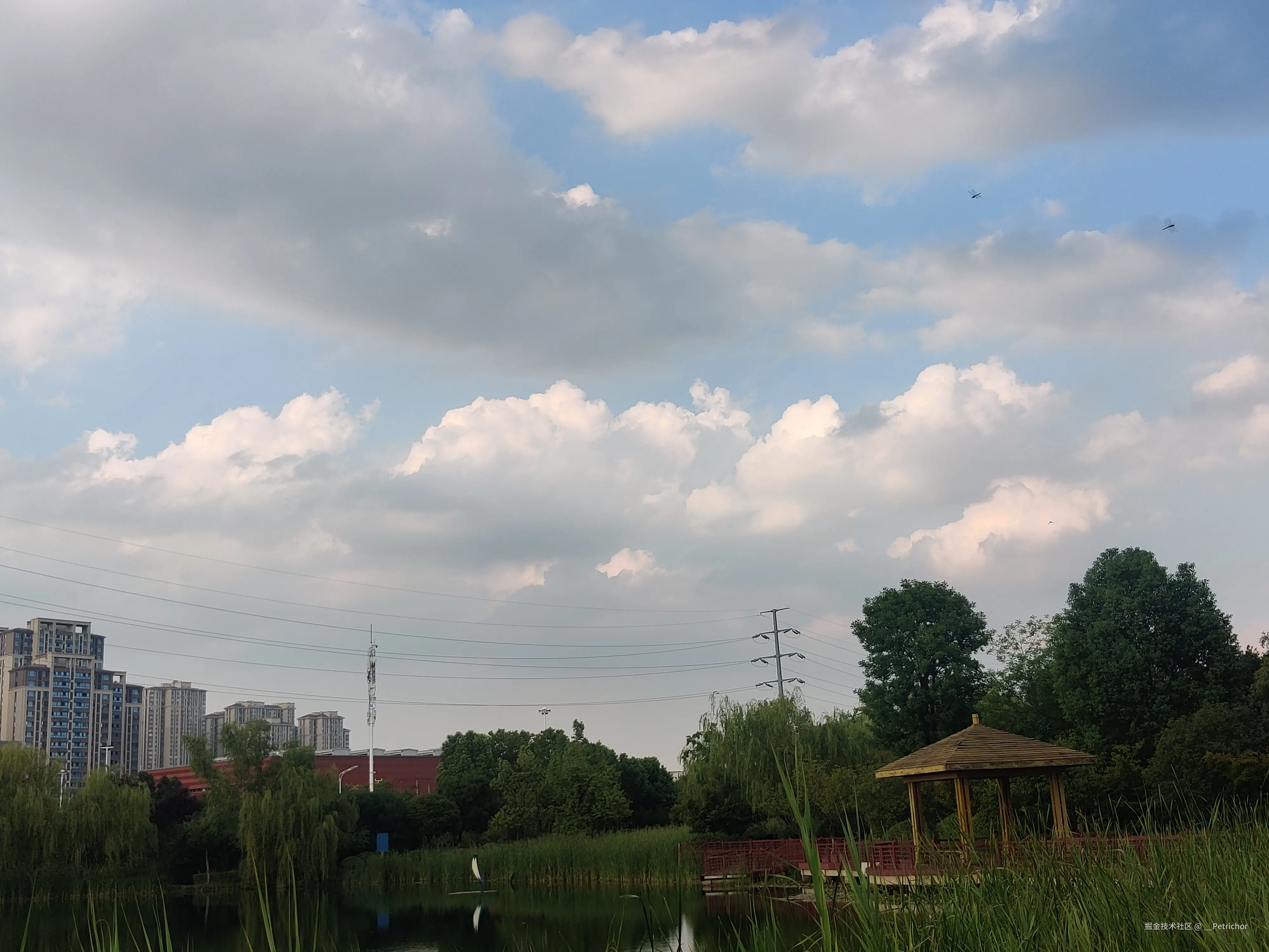 __Petrichor于2024-08-05 17:37发布的图片