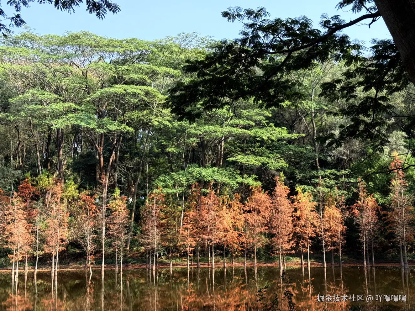 吖嘿嘿嘿于2026-01-21 12:18发布的图片