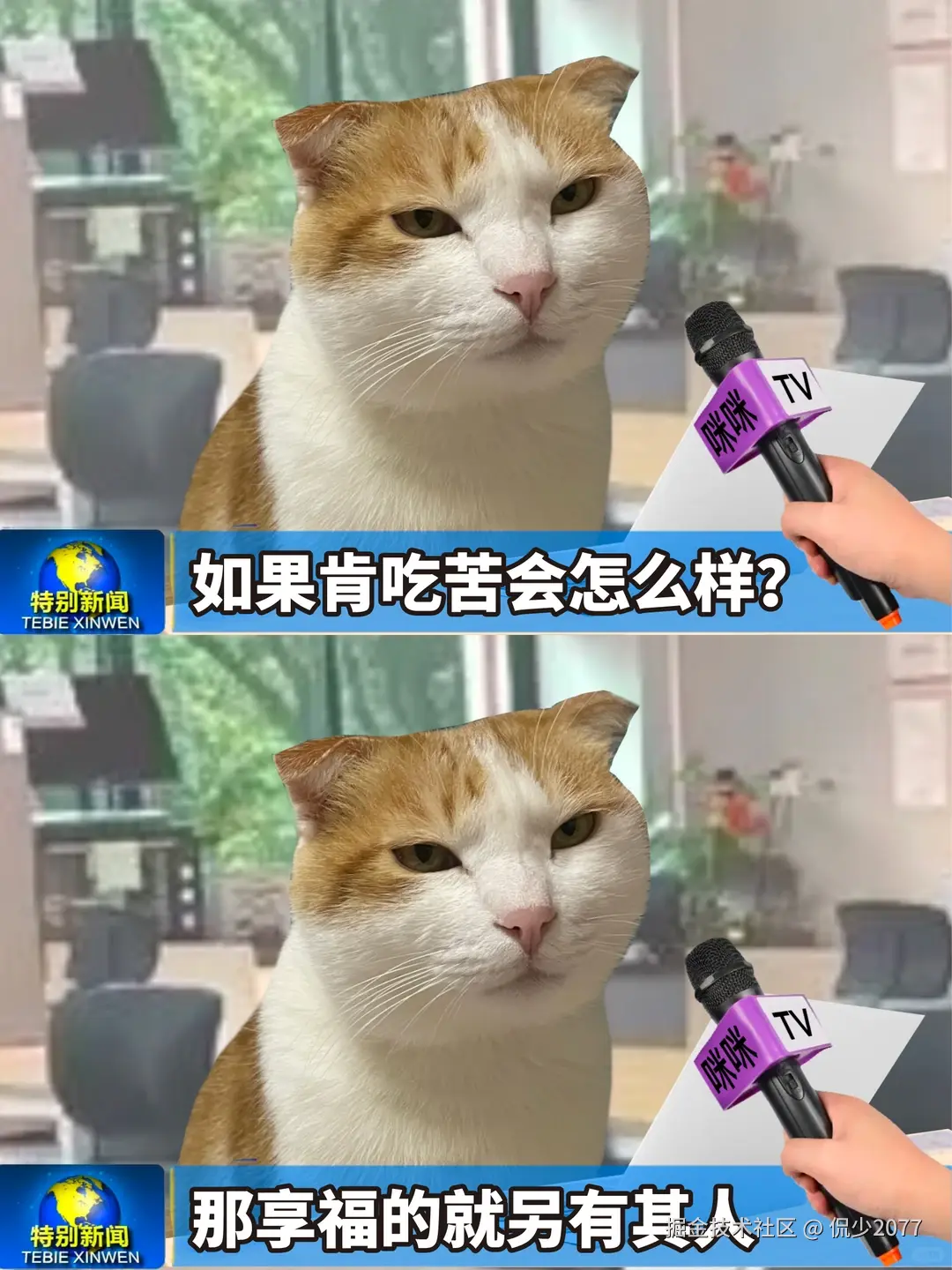 侃少2077于2026-04-13 11:14发布的图片