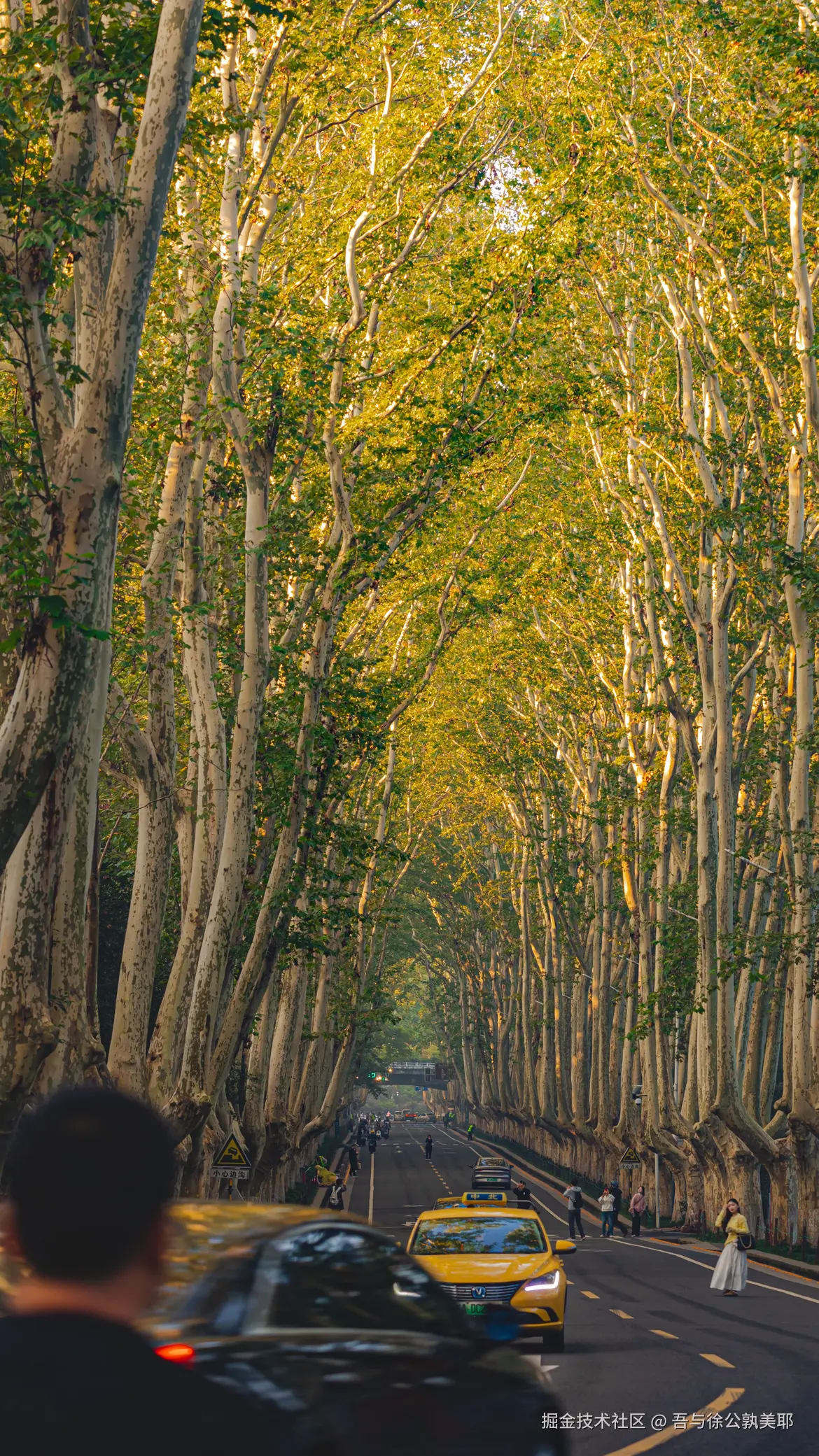 吾与徐公孰美耶于2025-08-07 11:17发布的图片