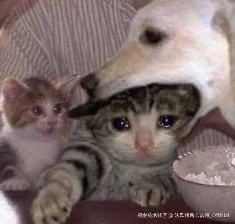 法欧特斯卡雷特_Official于2025-08-04 08:55发布的图片