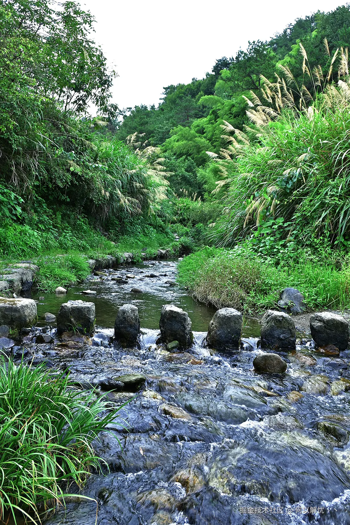 何以解忧丶丶于2025-08-11 11:12发布的图片