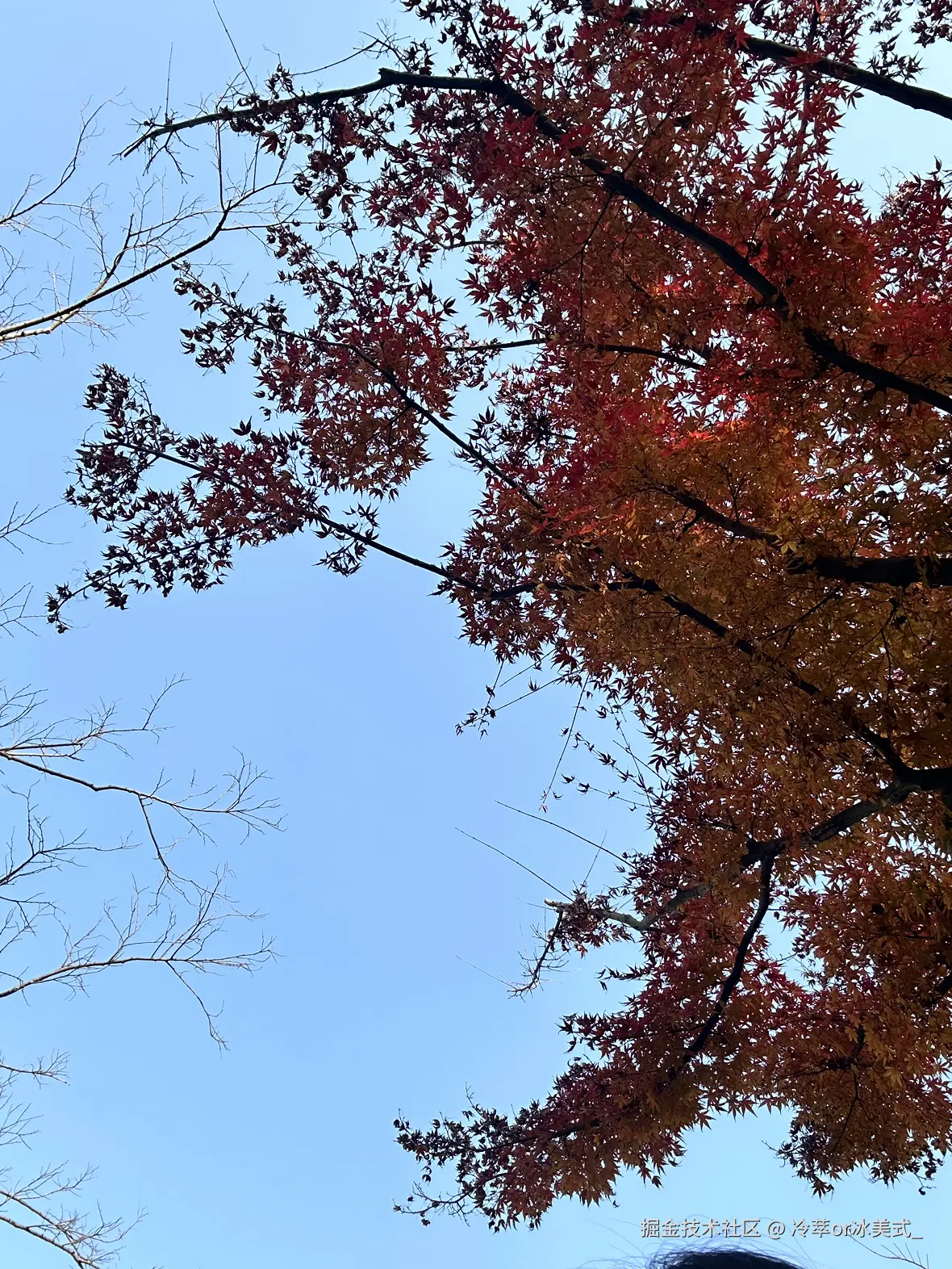 冷萃or冰美式_于2024-12-17 13:37发布的图片