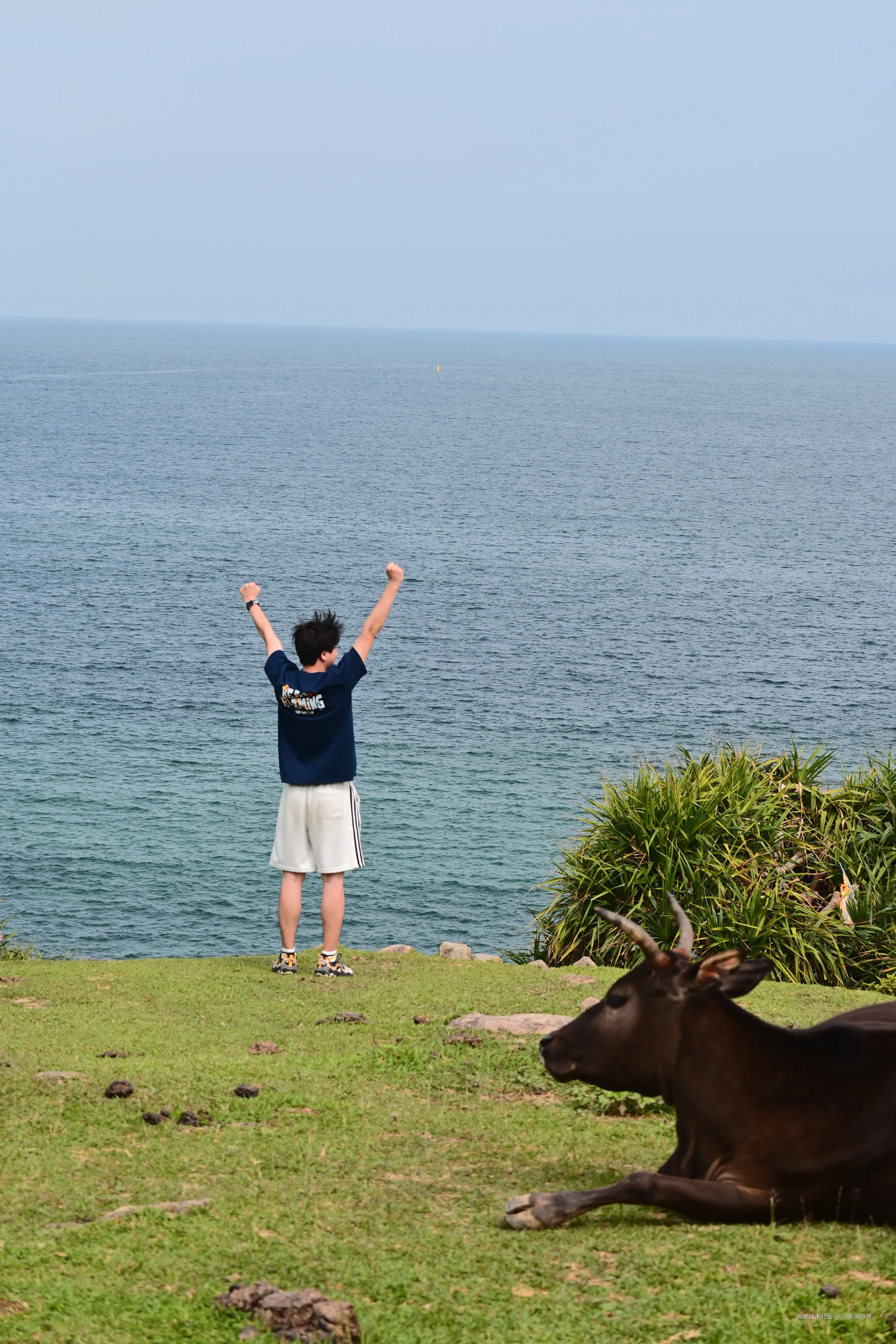 小名饭特稀于2026-04-27 10:47发布的图片