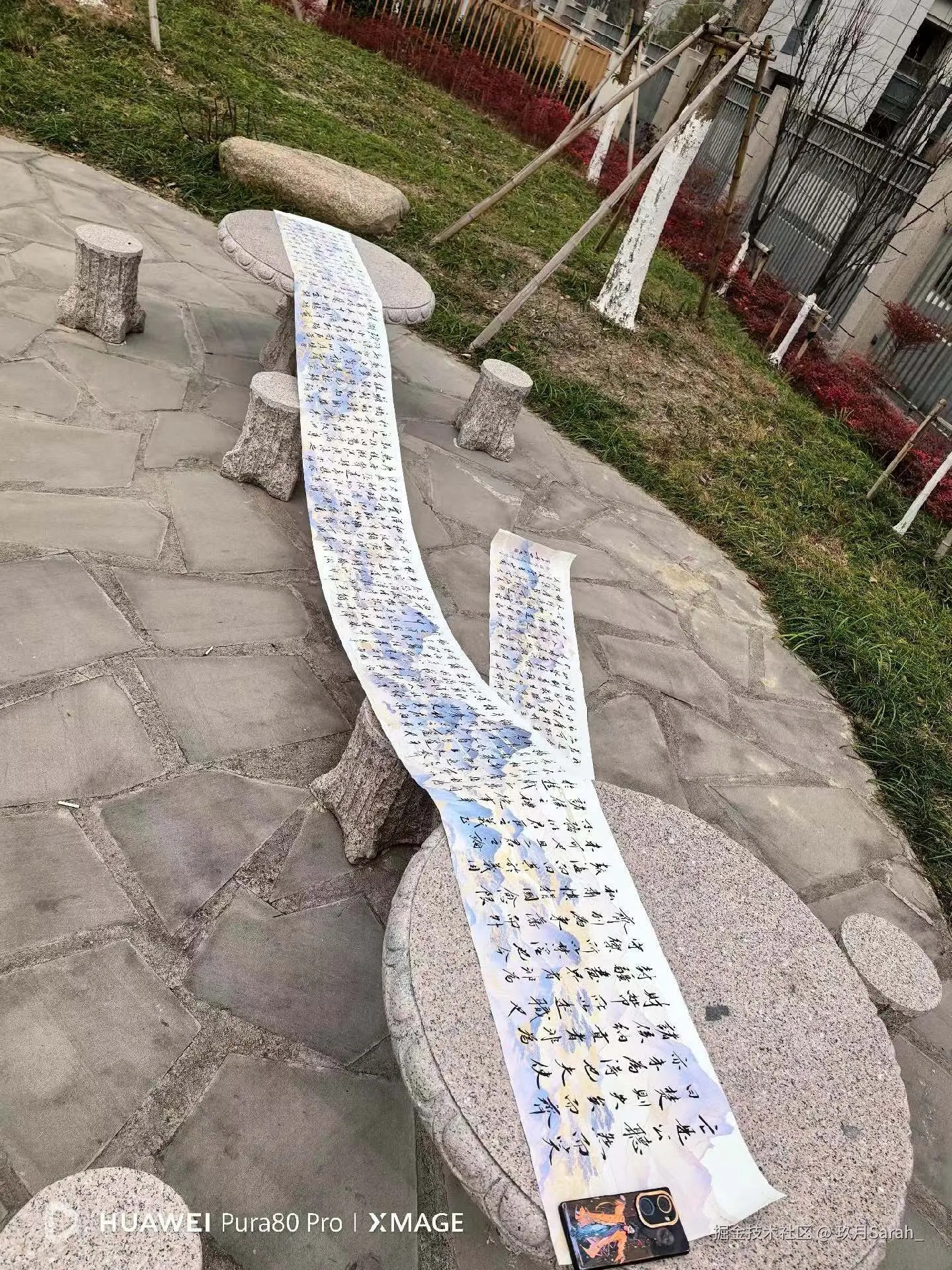 玖月Sarah_于2026-02-12 07:44发布的图片