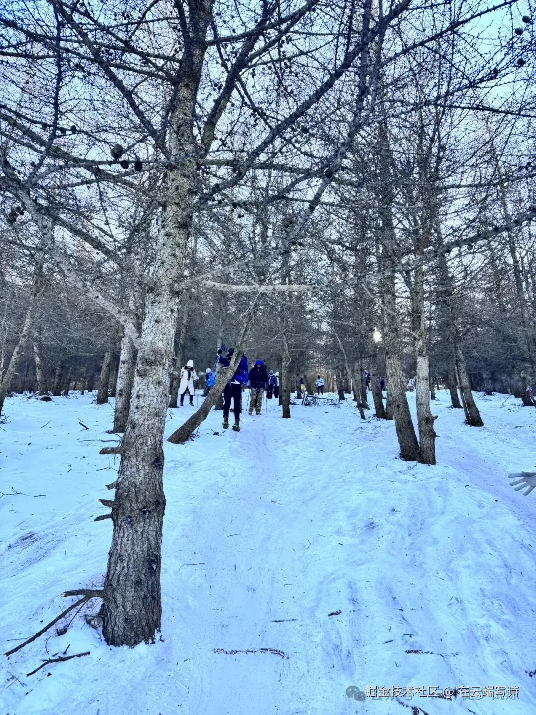 在云端写诗于2026-01-04 10:40发布的图片