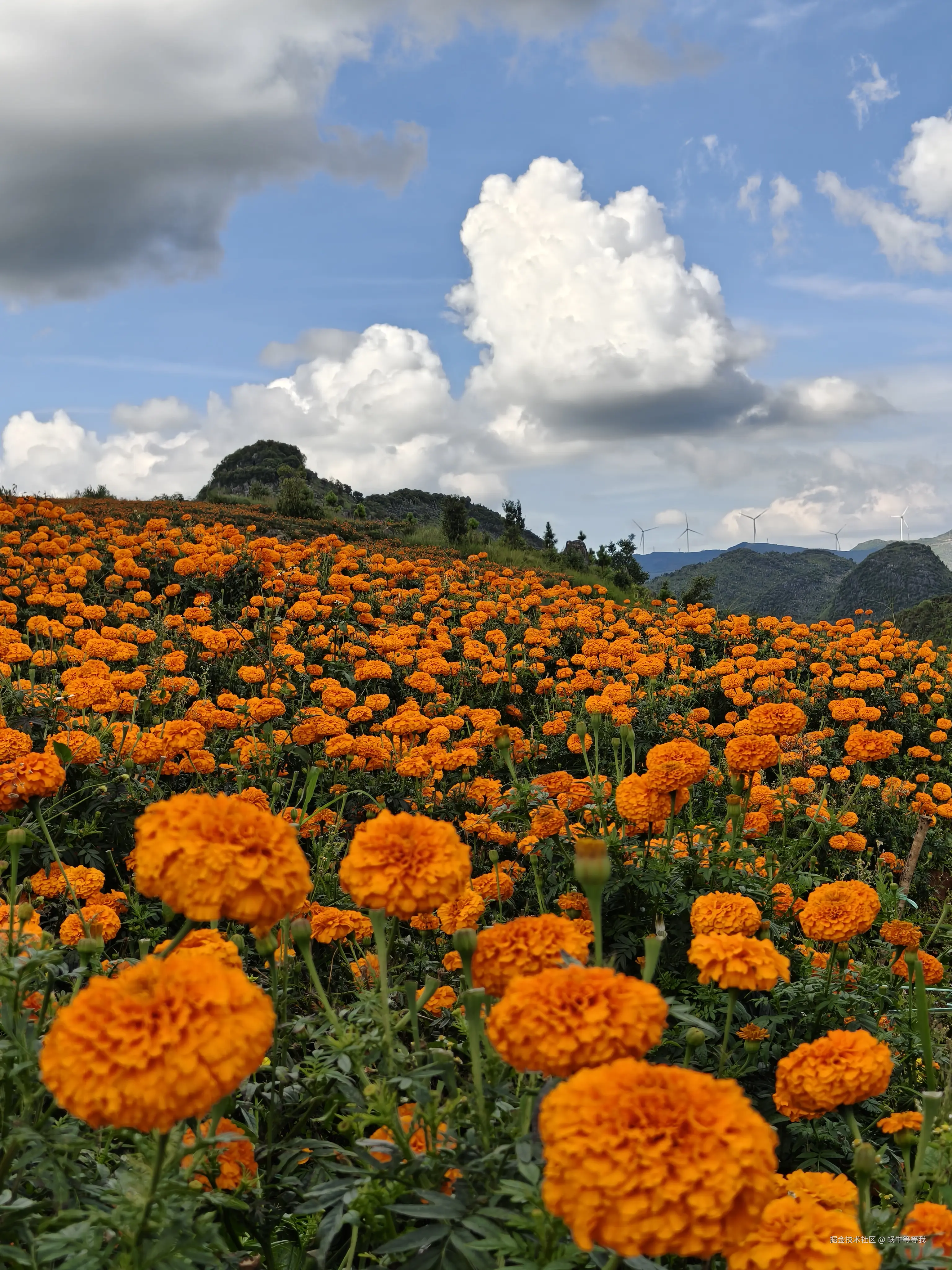 蜗牛等等我于2025-08-25 09:17发布的图片