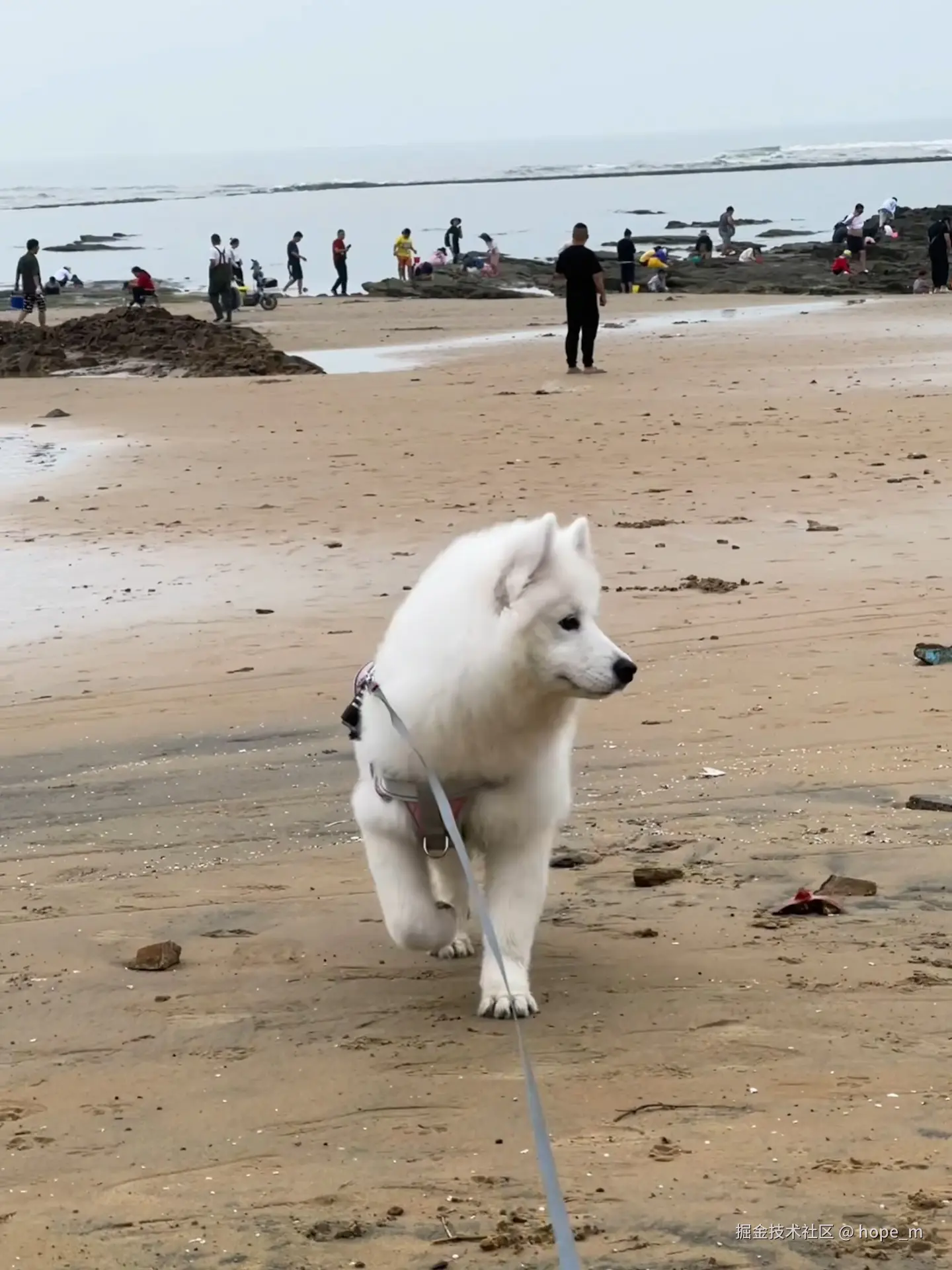 hope_m于2025-10-10 13:22发布的图片