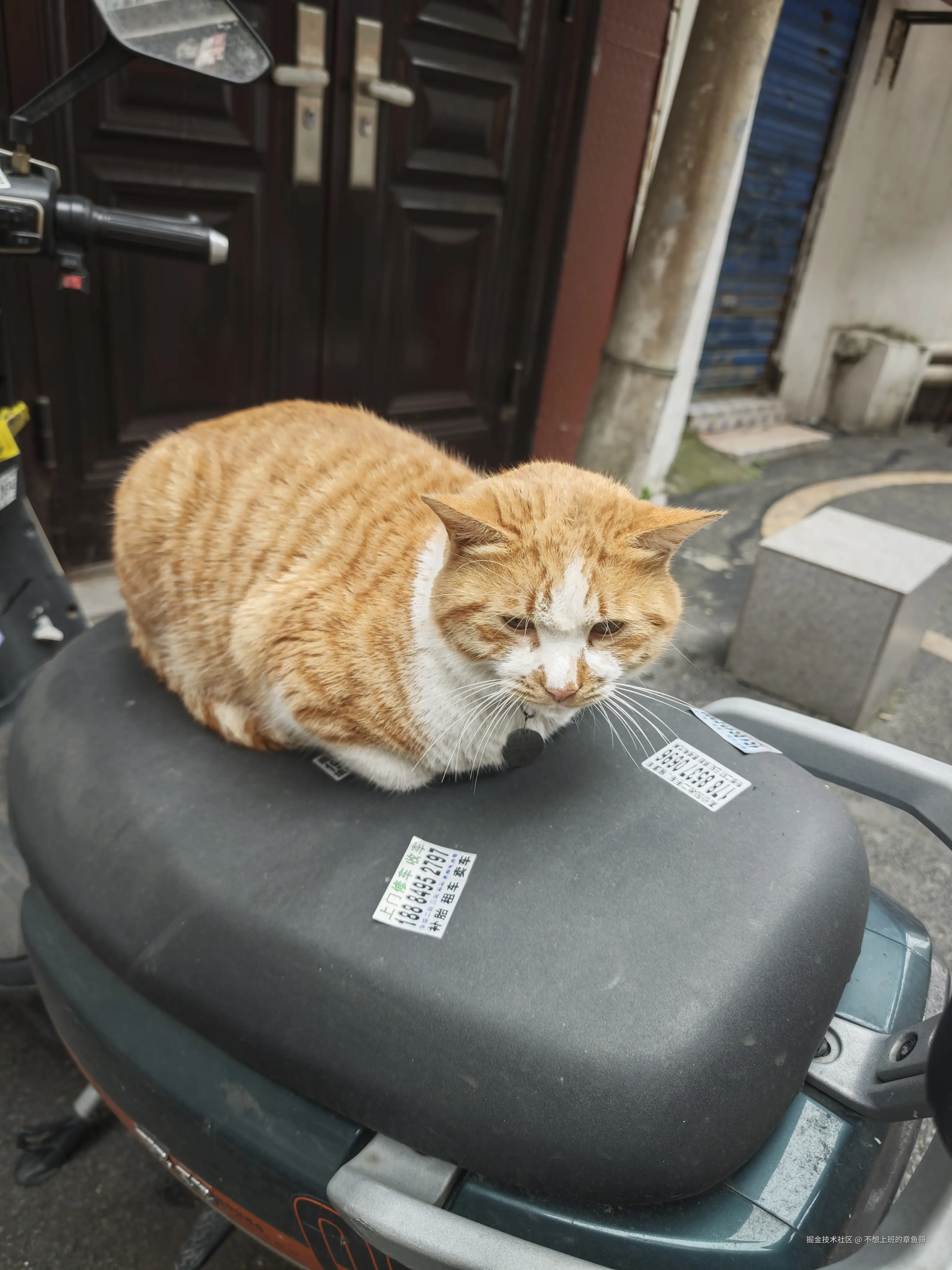 不想上班的章鱼哥于2025-04-21 09:15发布的图片