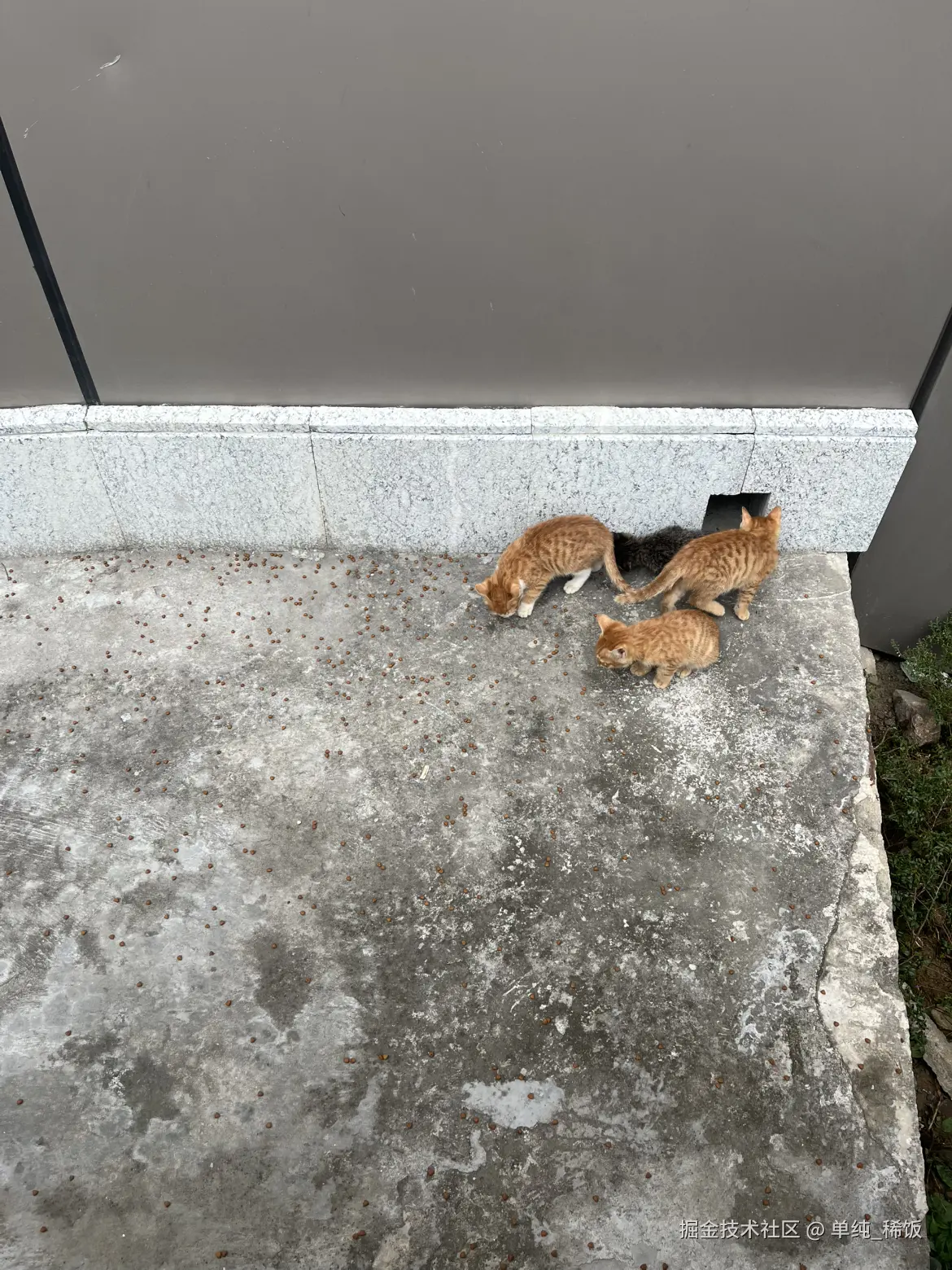 单纯_稀饭于2024-11-19 13:04发布的图片