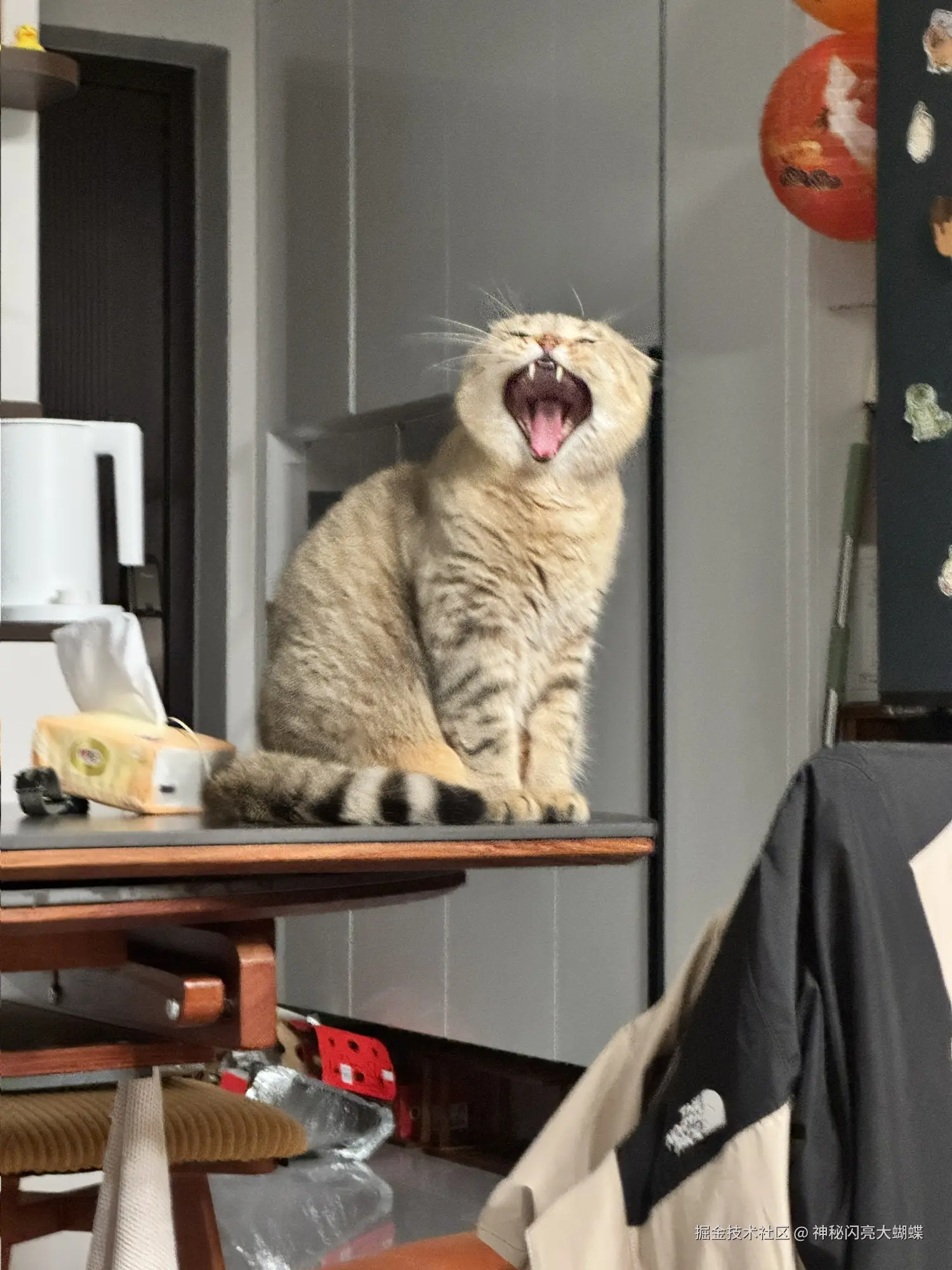 神秘闪亮大蝴蝶于2026-03-11 14:54发布的图片