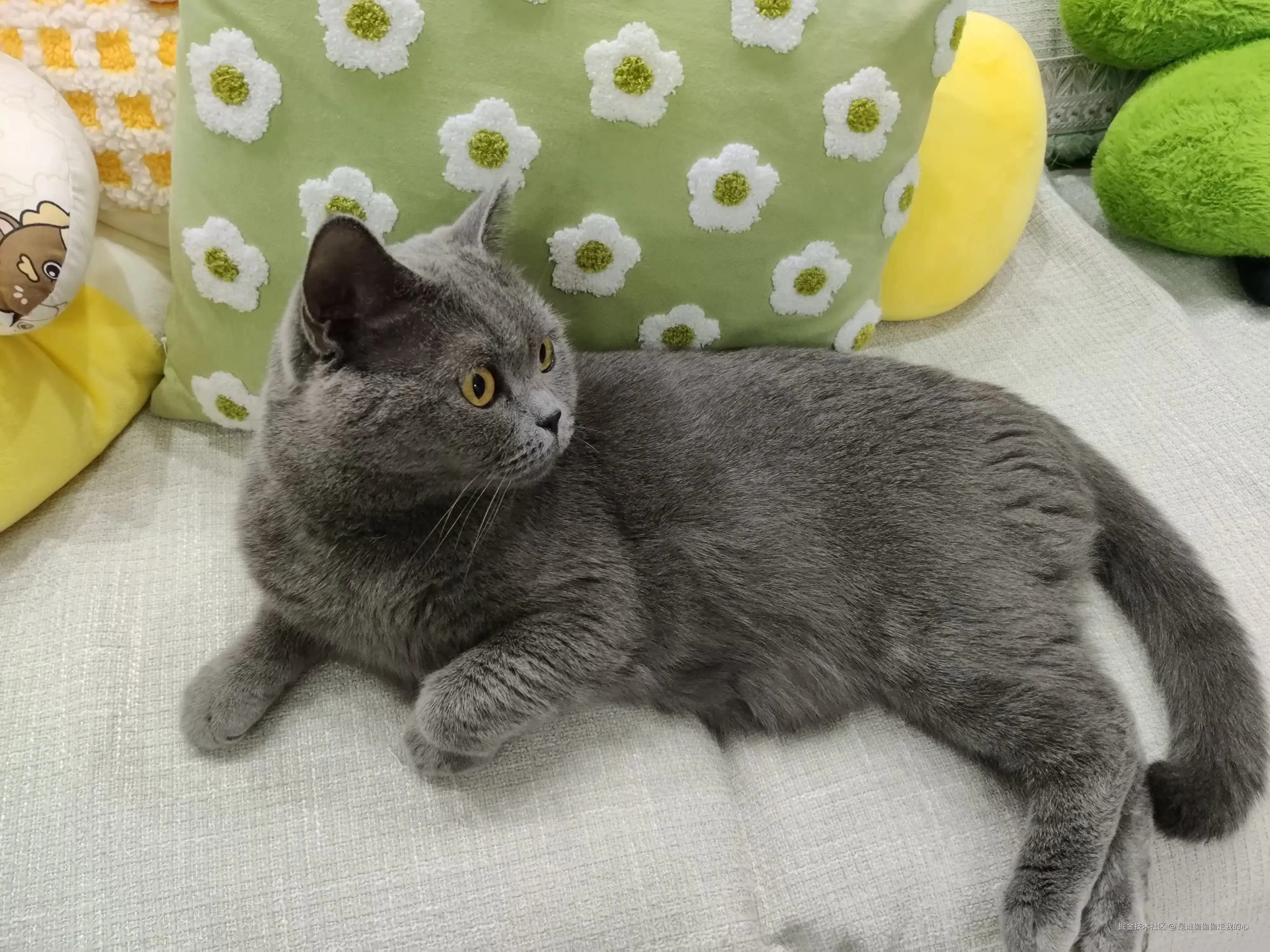 是谁偷偷偷走我的心于2024-12-10 10:13发布的图片