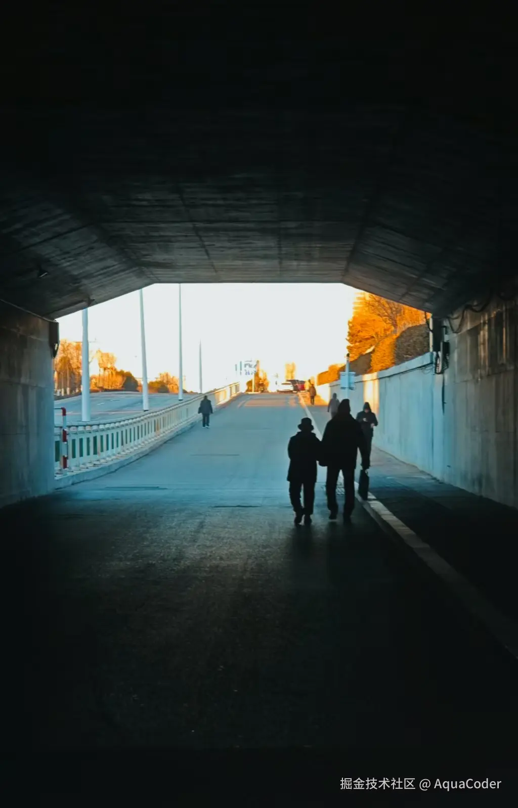 AquaCoder于2025-01-07 00:54发布的图片