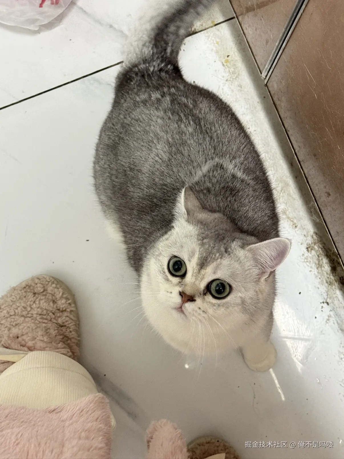 俺不是吗喽于2025-12-18 10:10发布的图片