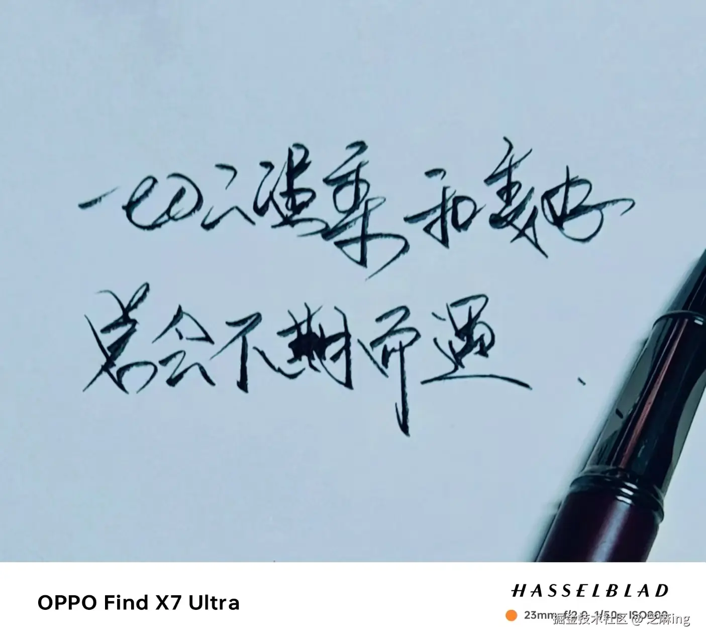 芝麻ing于2024-08-24 09:07发布的图片