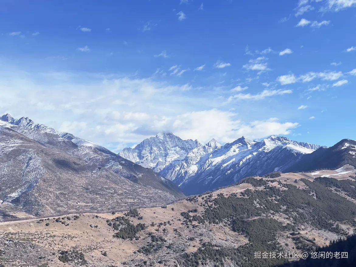 悠闲的老四于2025-01-21 18:00发布的图片