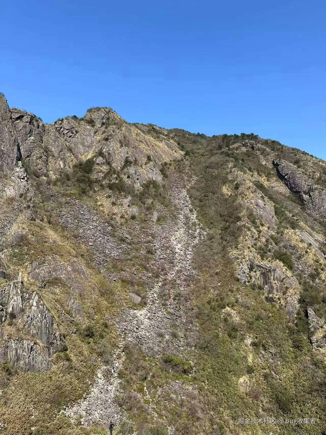 bug收集者于2026-03-16 11:07发布的图片