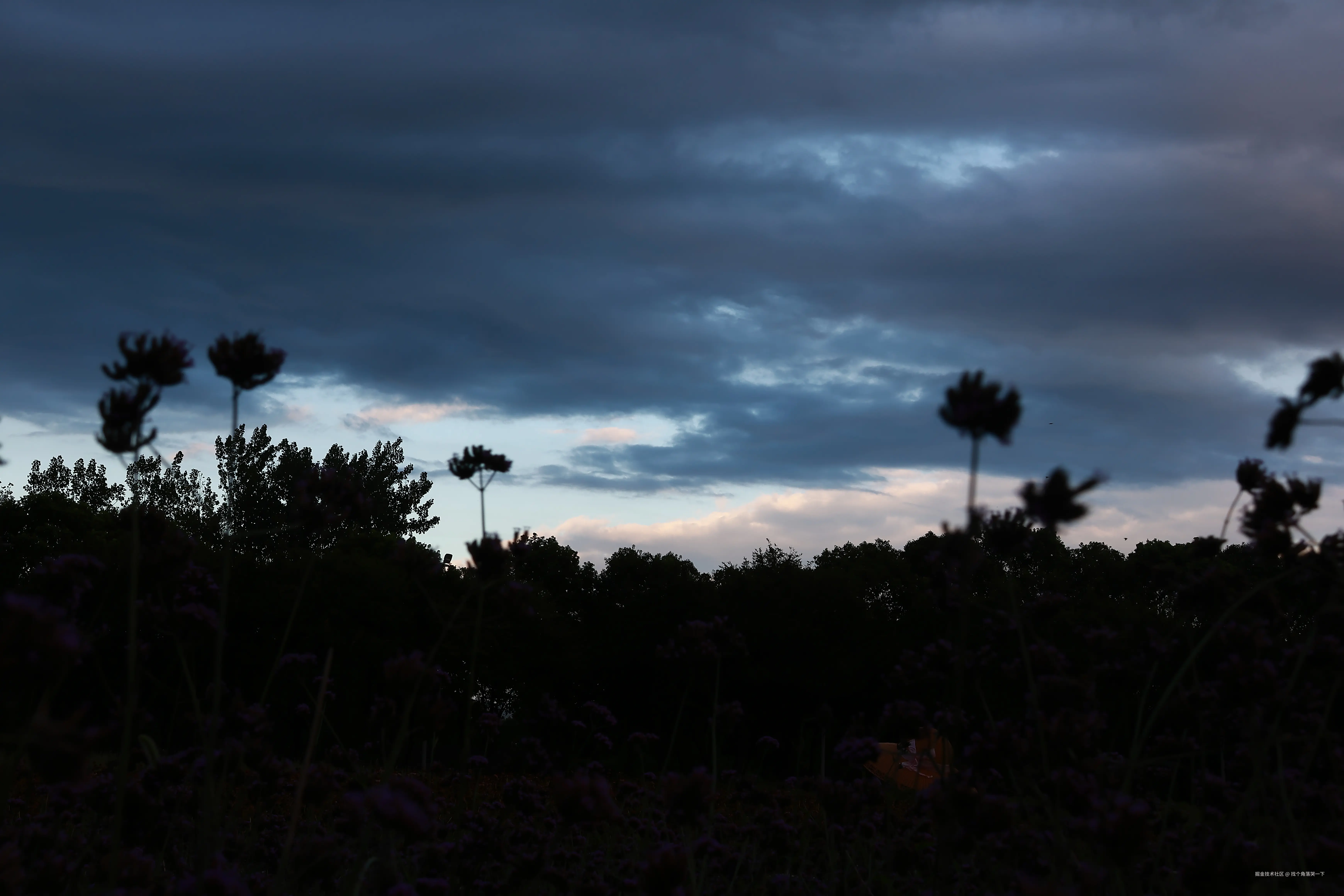 找个角落哭一下于2025-07-28 13:51发布的图片
