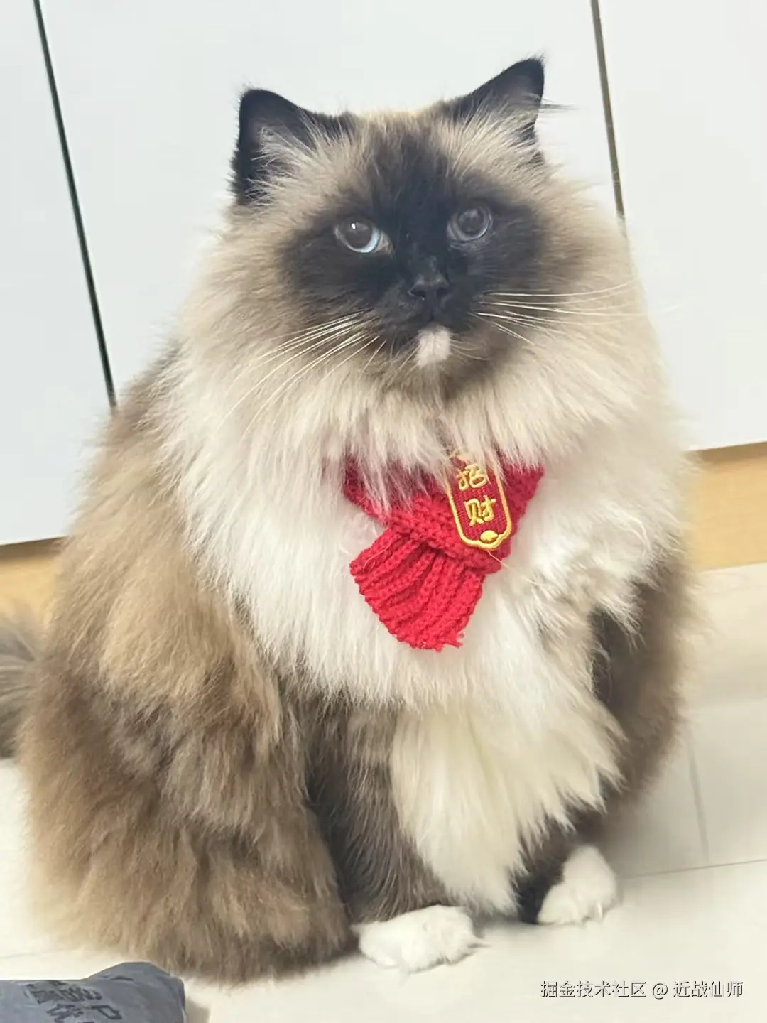 近战仙师于2025-02-09 09:55发布的图片