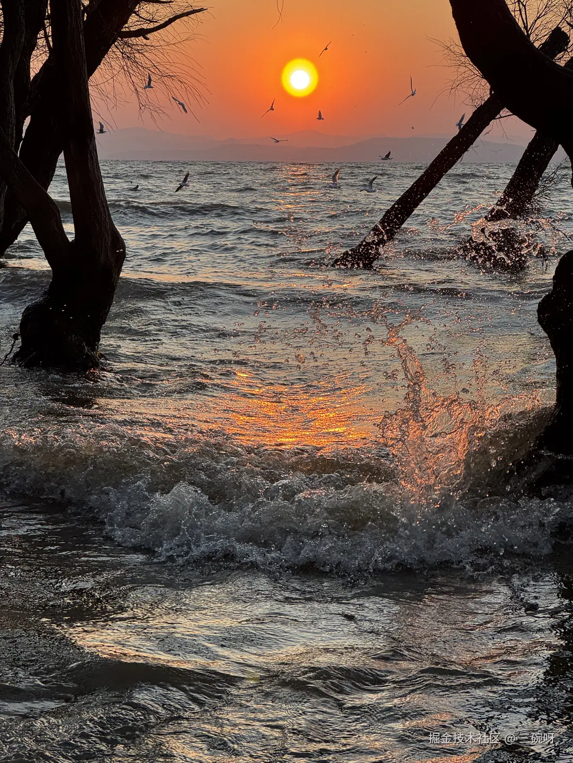 三碗呀于2026-03-06 10:27发布的图片