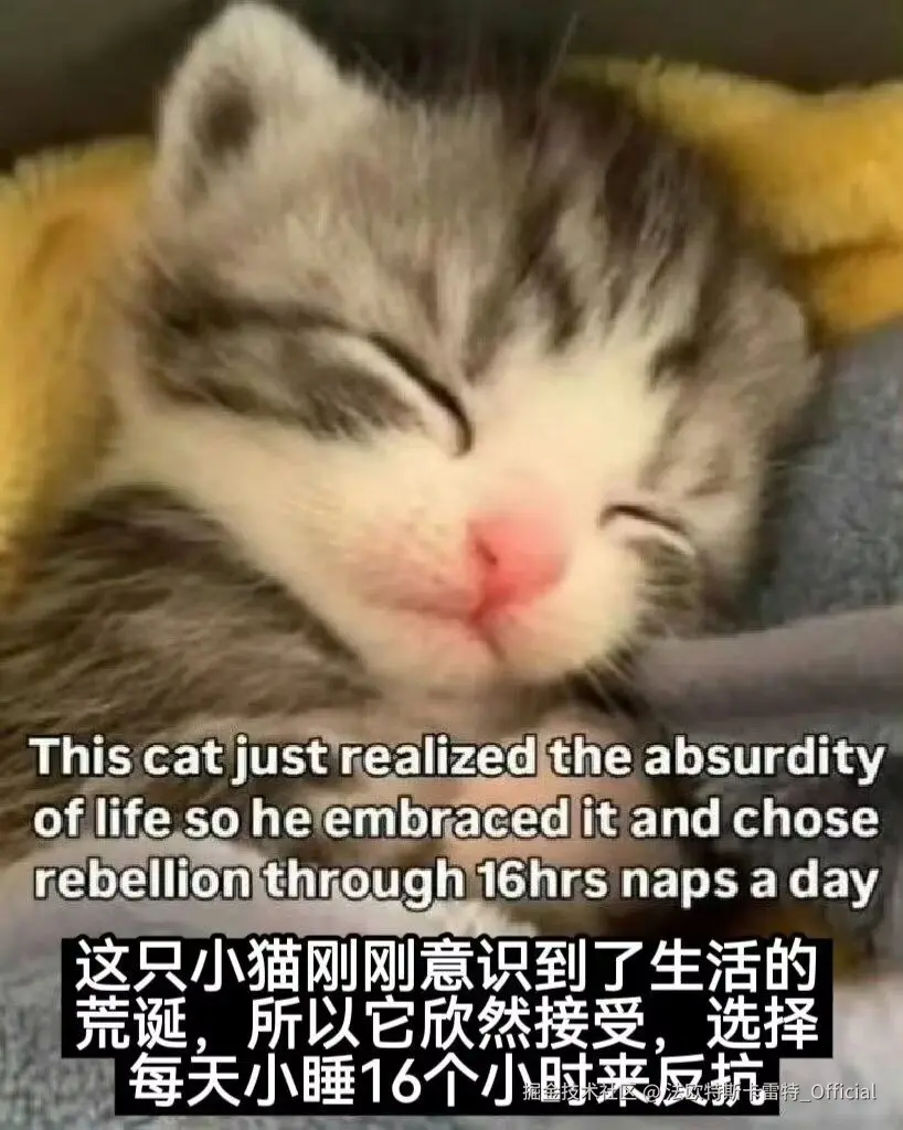 法欧特斯卡雷特_Official于2025-08-04 08:55发布的图片