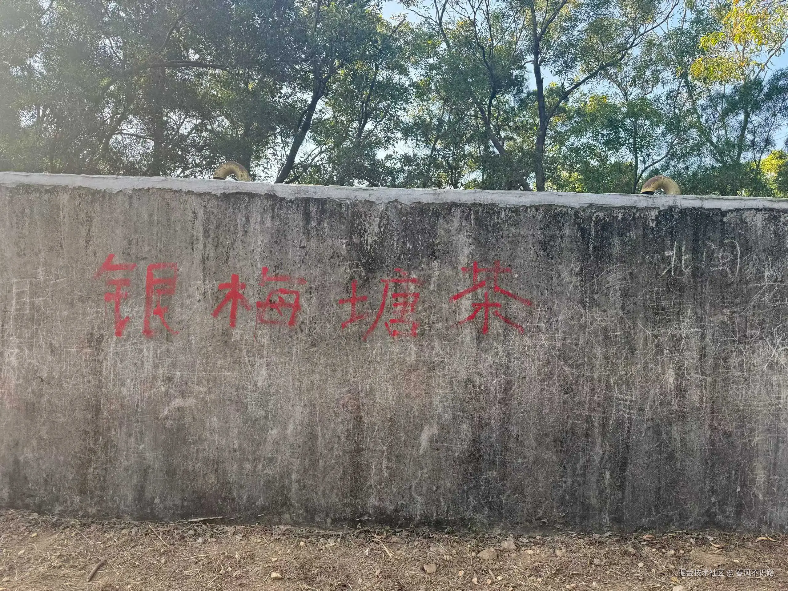 春风不识路于2026-01-19 09:41发布的图片