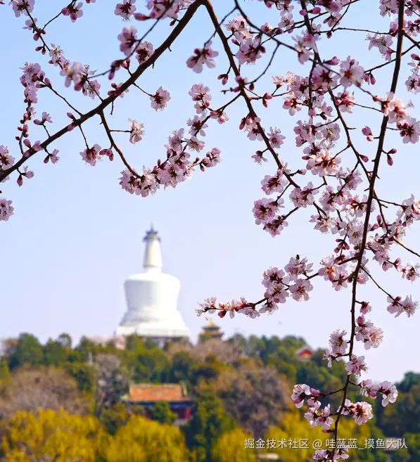 哇蓝蓝_摸鱼大队于2026-03-16 16:14发布的图片