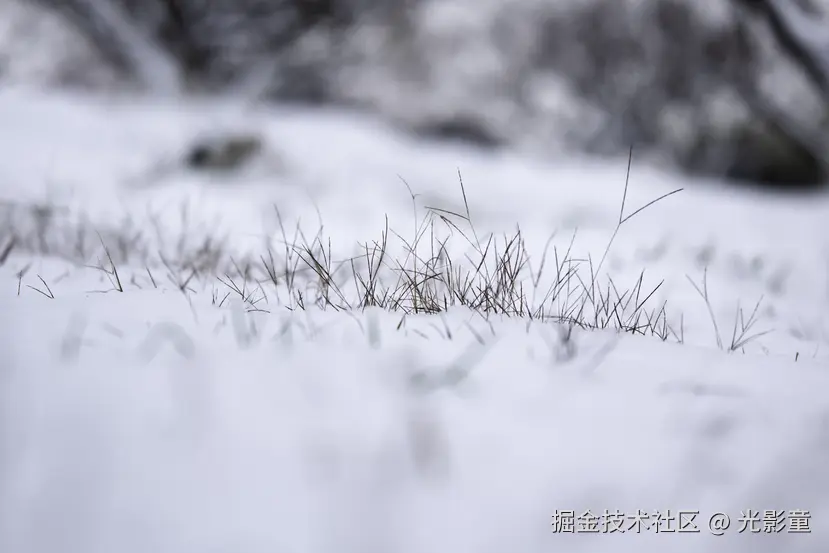 光影童于2026-01-21 11:03发布的图片