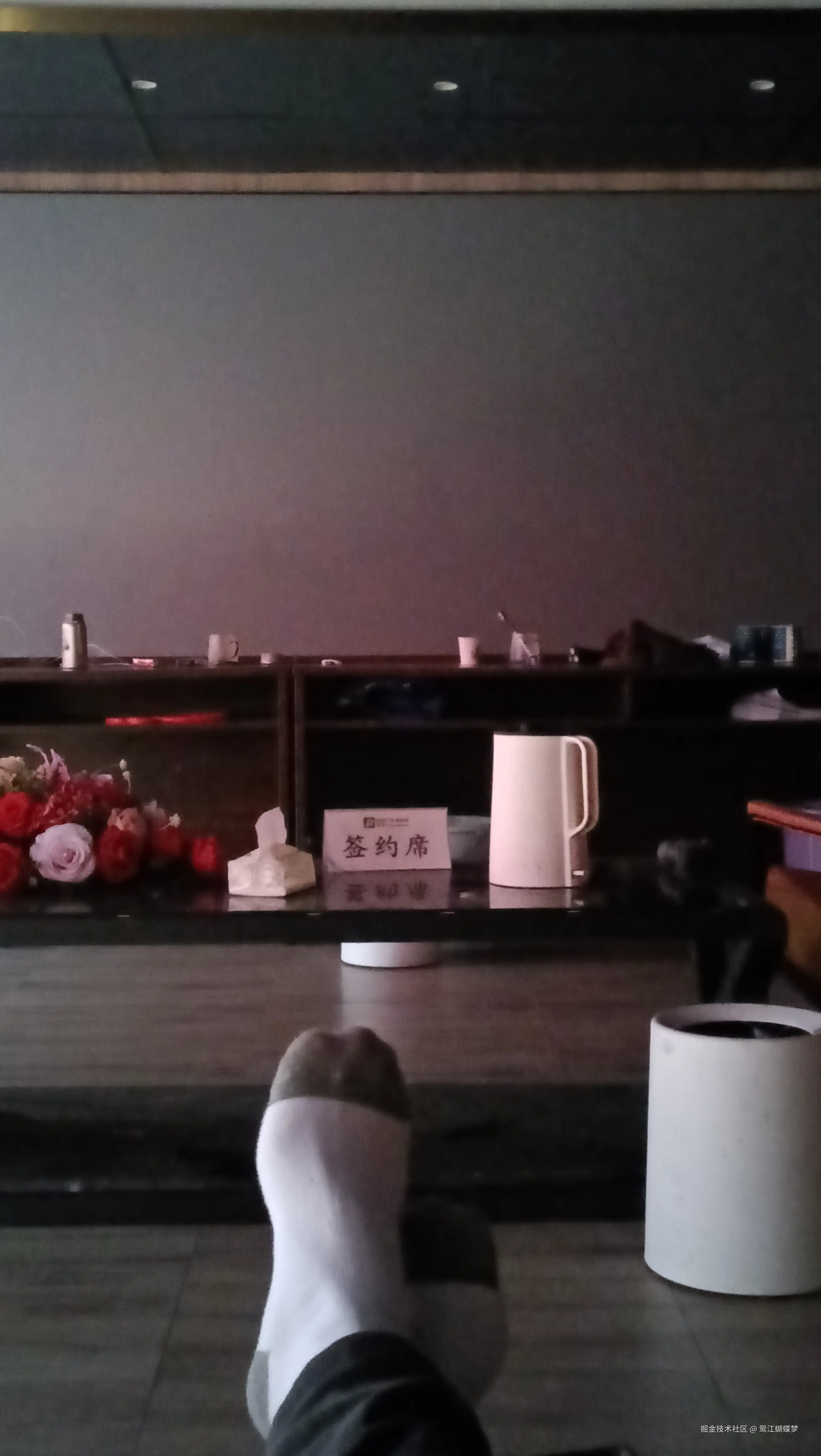 鸳江蝴蝶梦于2024-12-31 12:43发布的图片