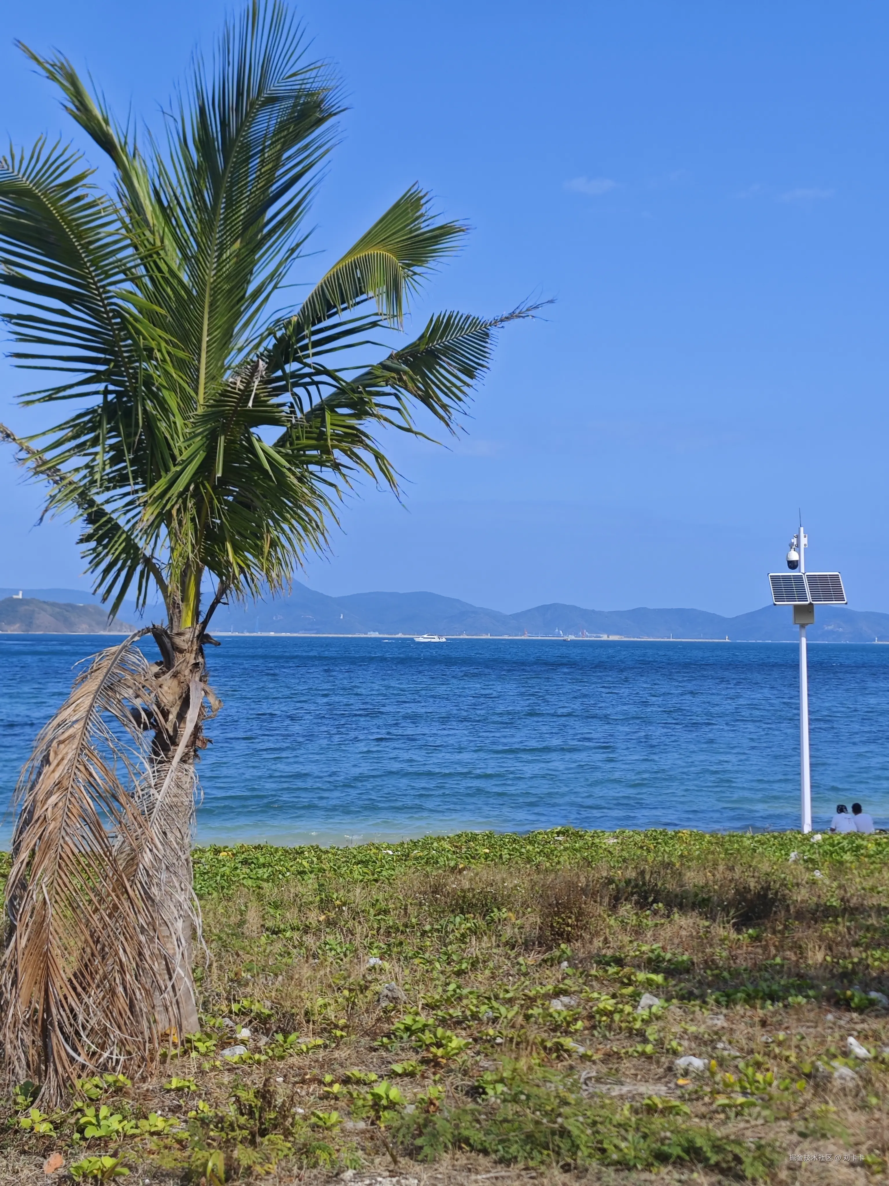 刘卡卡于2026-02-09 20:20发布的图片