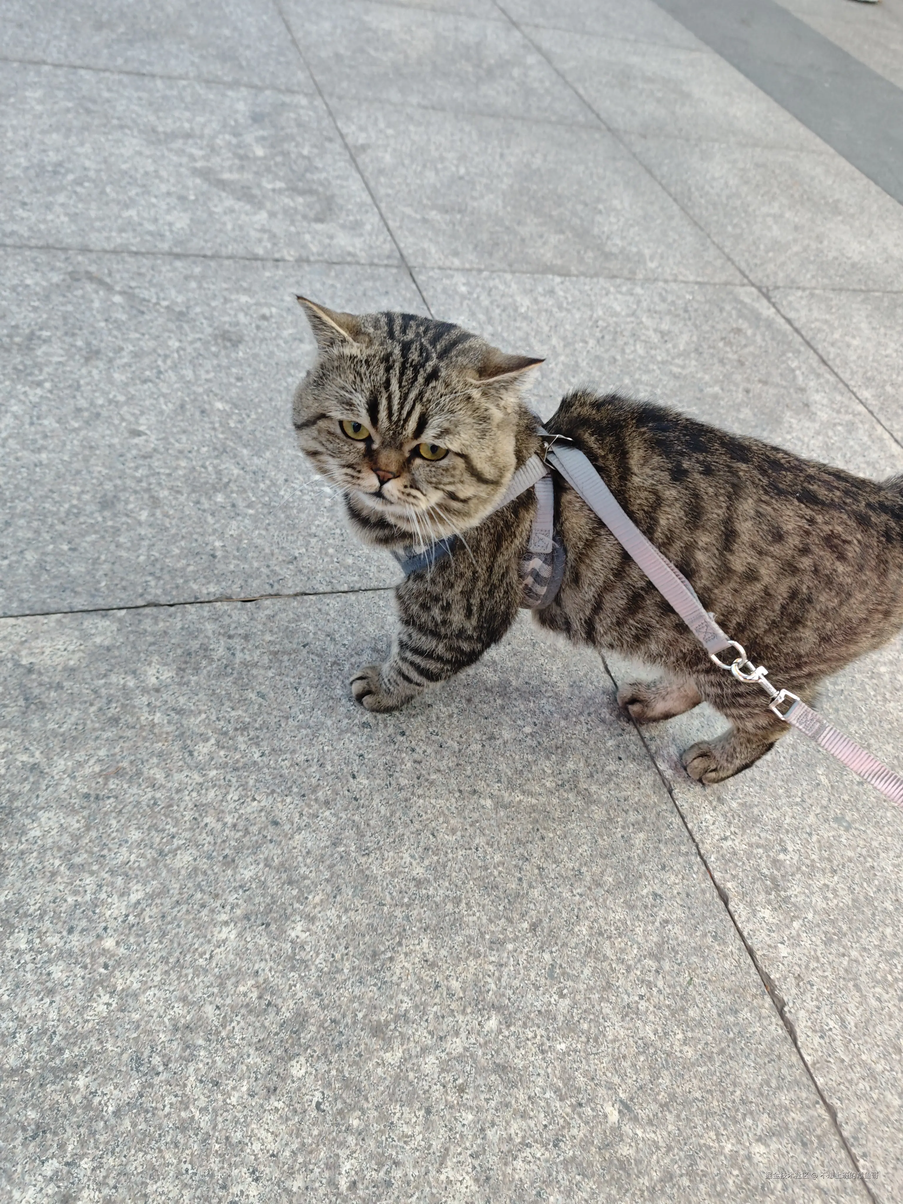 不想上班的章鱼哥于2025-04-21 09:15发布的图片