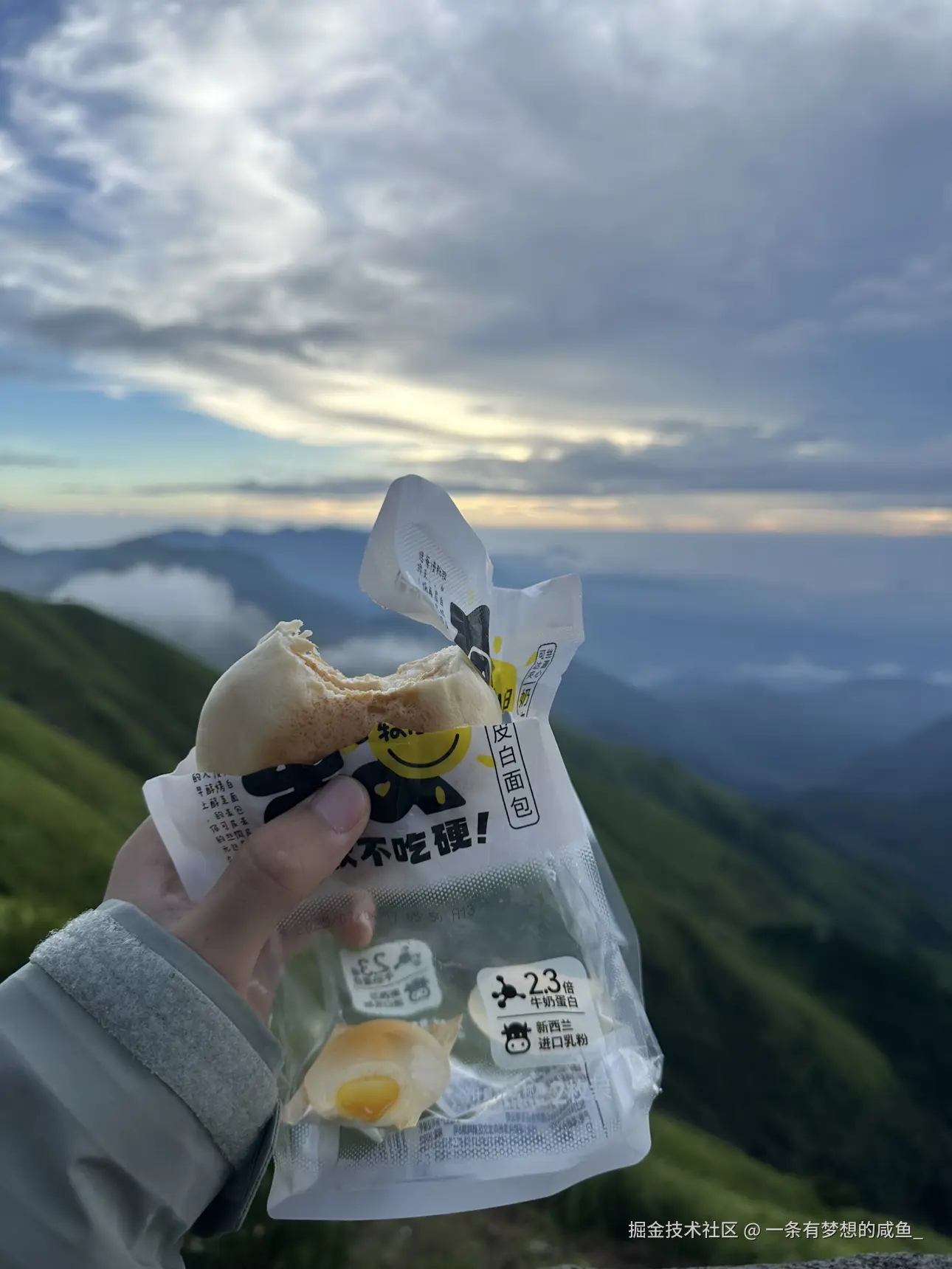 一条有梦想的咸鱼_于2025-07-28 14:12发布的图片