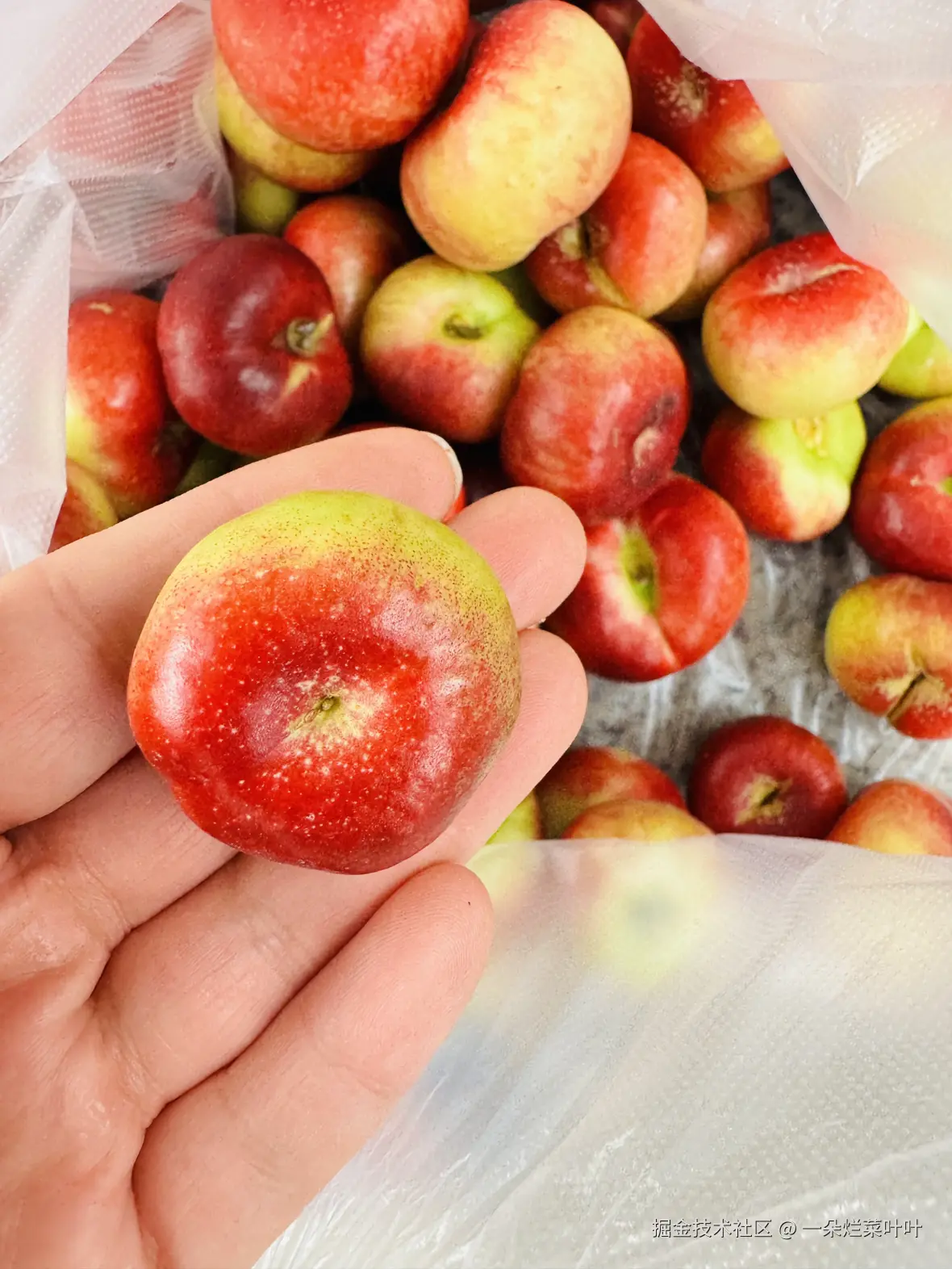 一朵烂菜叶叶于2025-06-03 11:03发布的图片