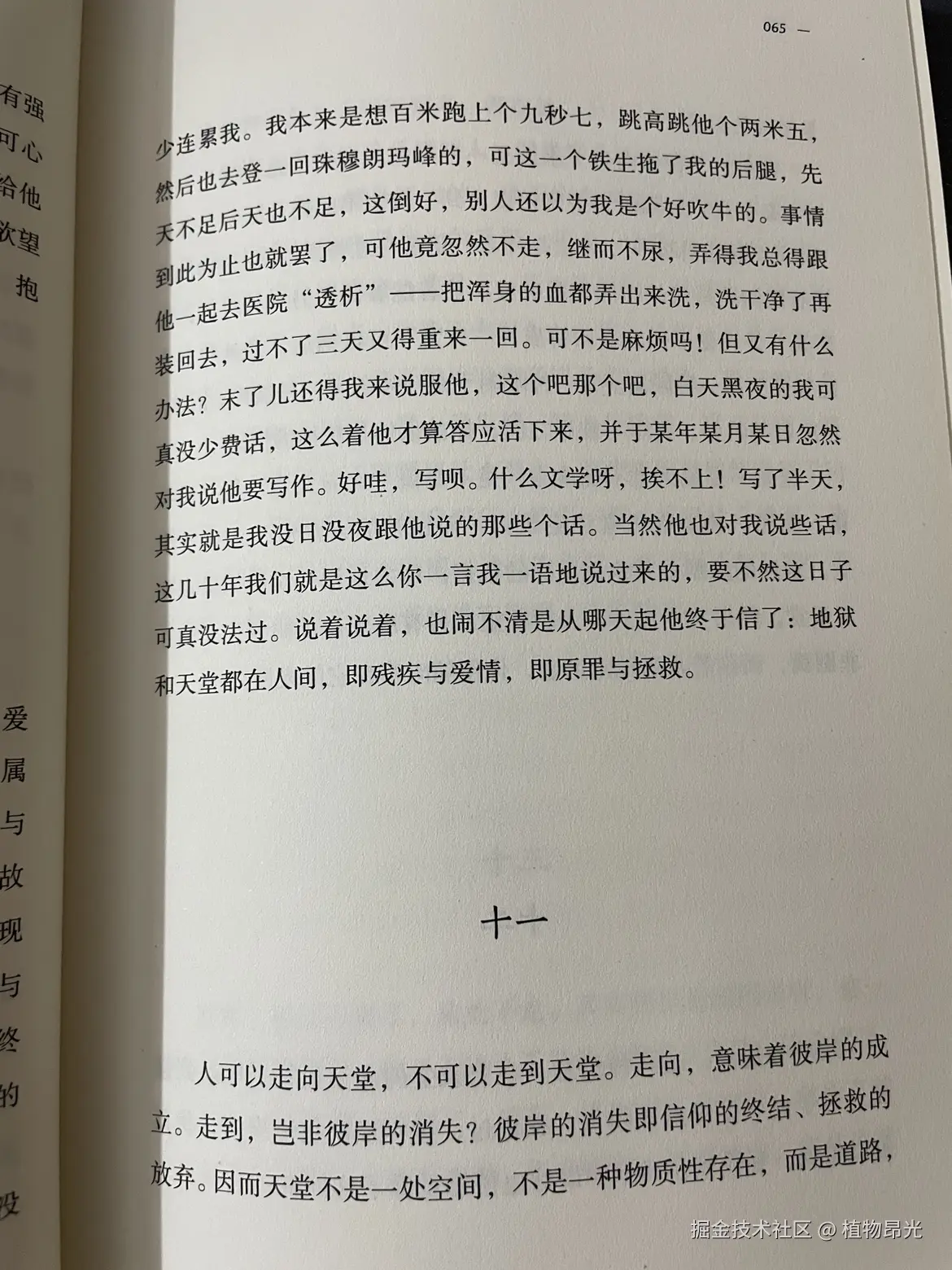 植物昂光于2026-05-11 20:00发布的图片