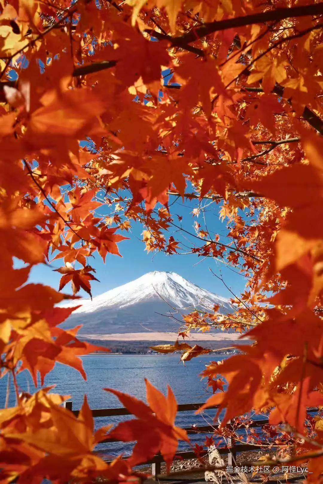 阿怪Lyc_于2025-12-30 10:57发布的图片