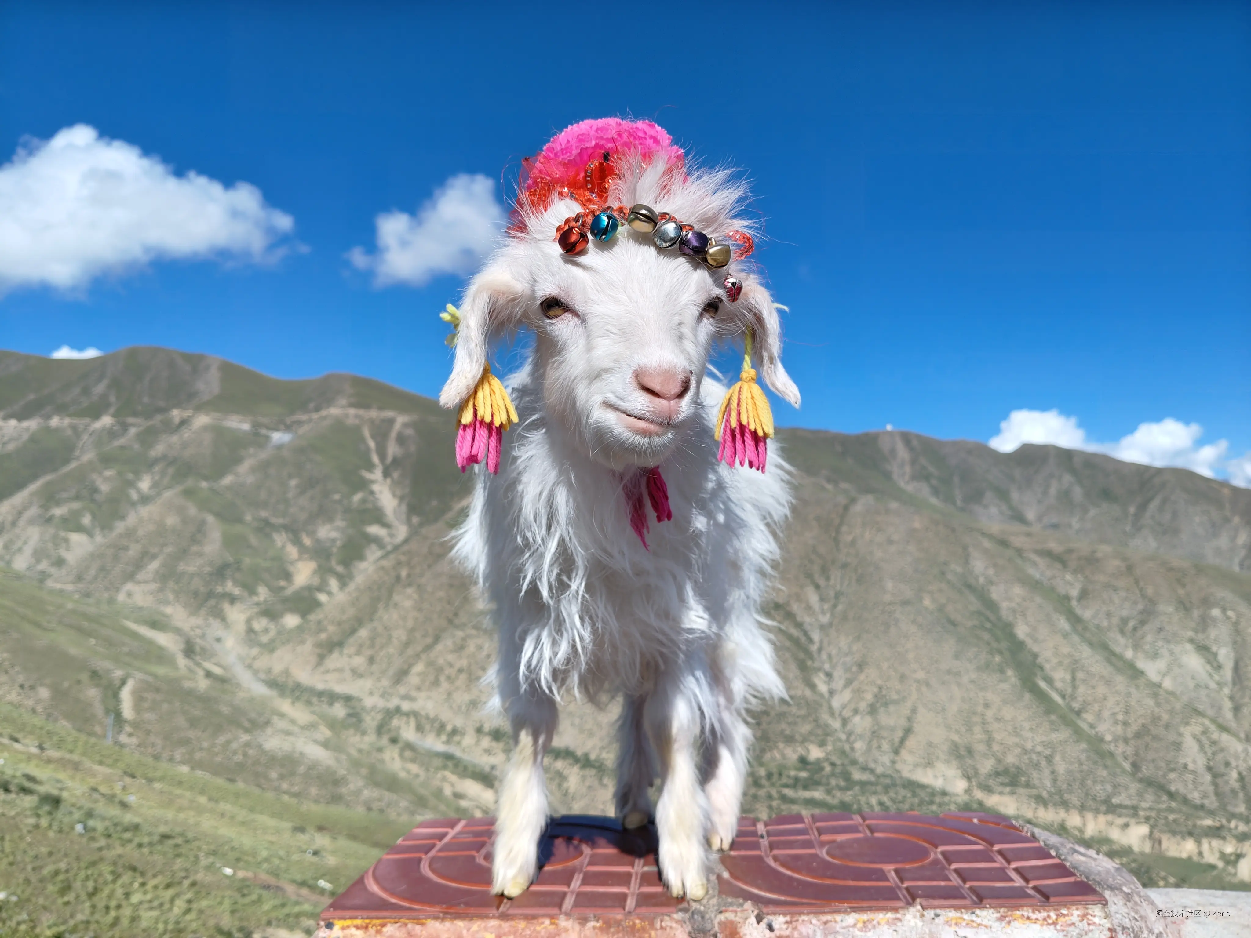 Zeno于2024-09-29 16:57发布的图片