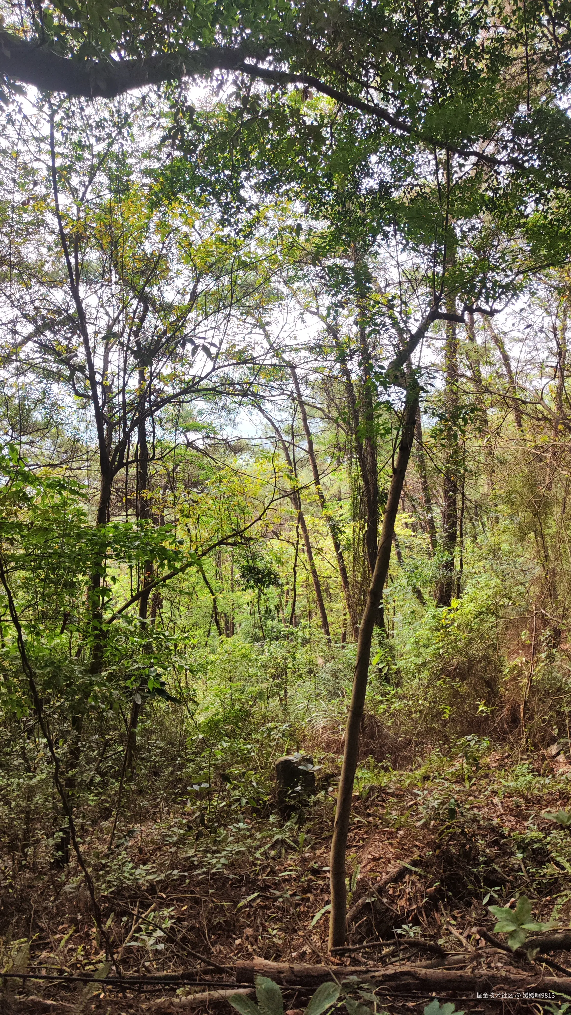 媛媛啊9813于2025-05-09 09:45发布的图片