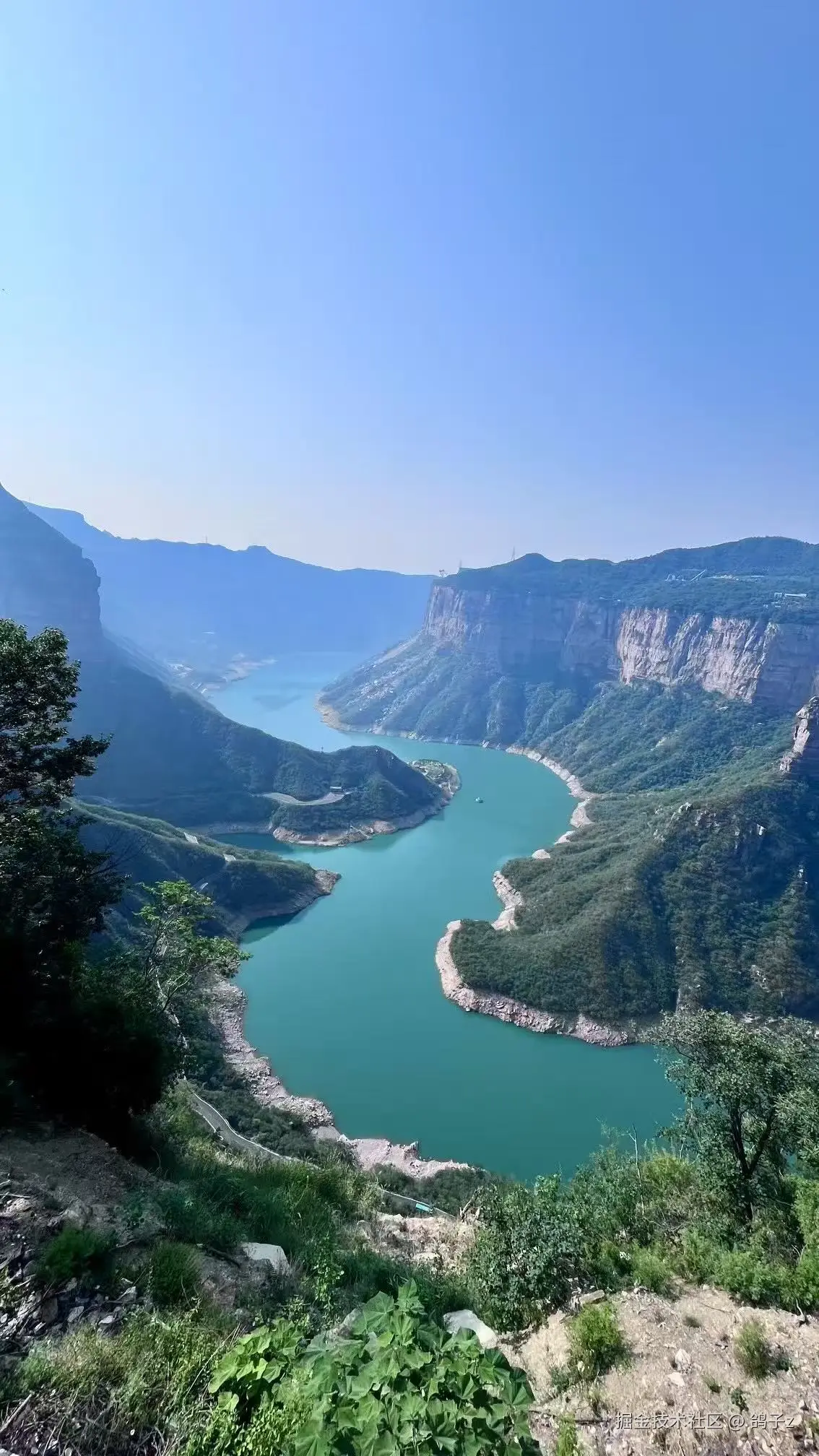 鸽子z于2025-06-16 09:27发布的图片