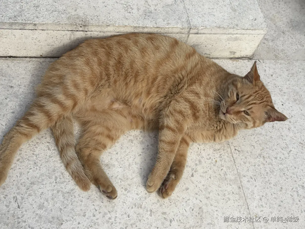 单纯_稀饭于2026-04-11 10:19发布的图片