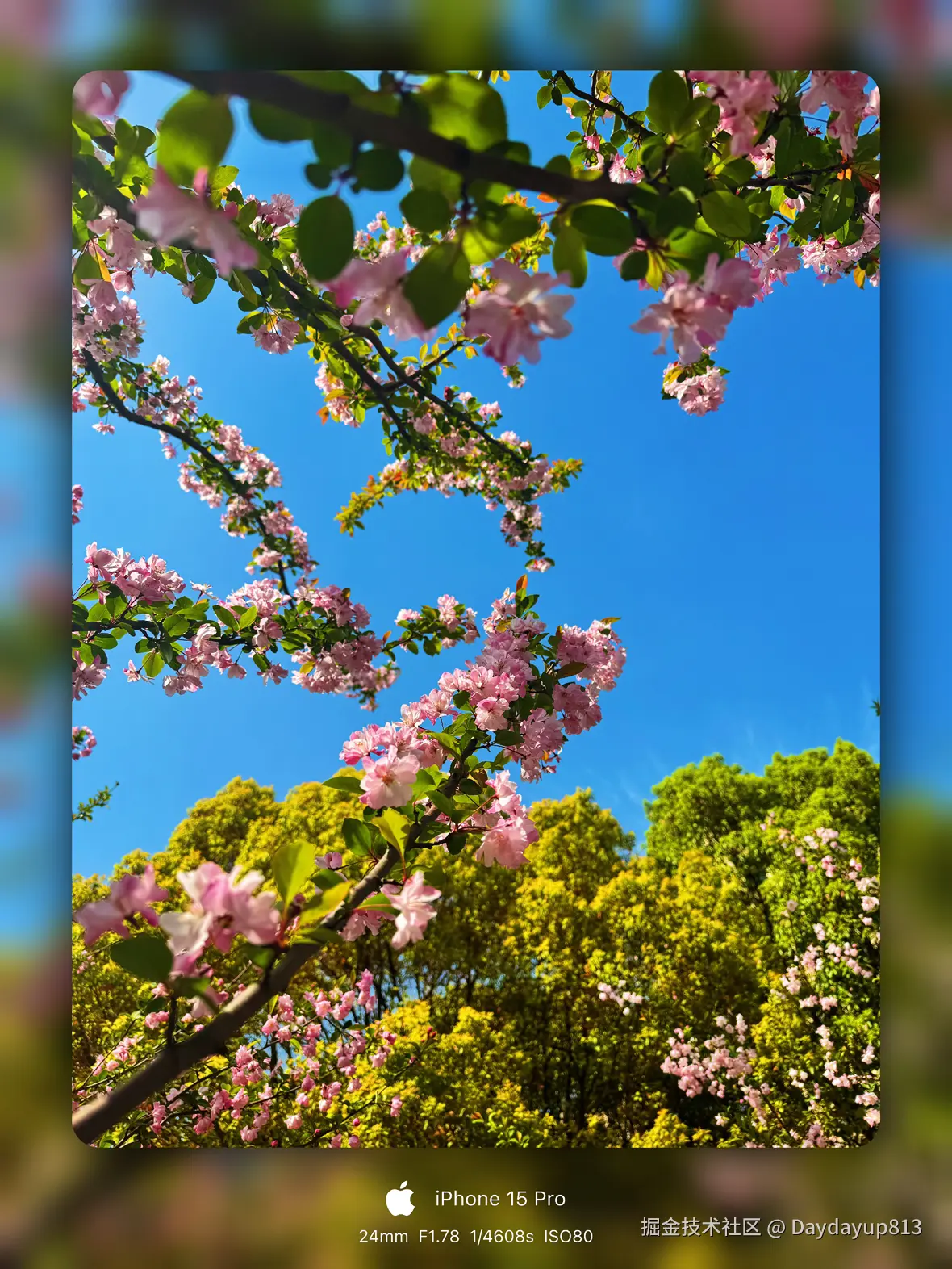 Daydayup813于2025-03-31 11:41发布的图片