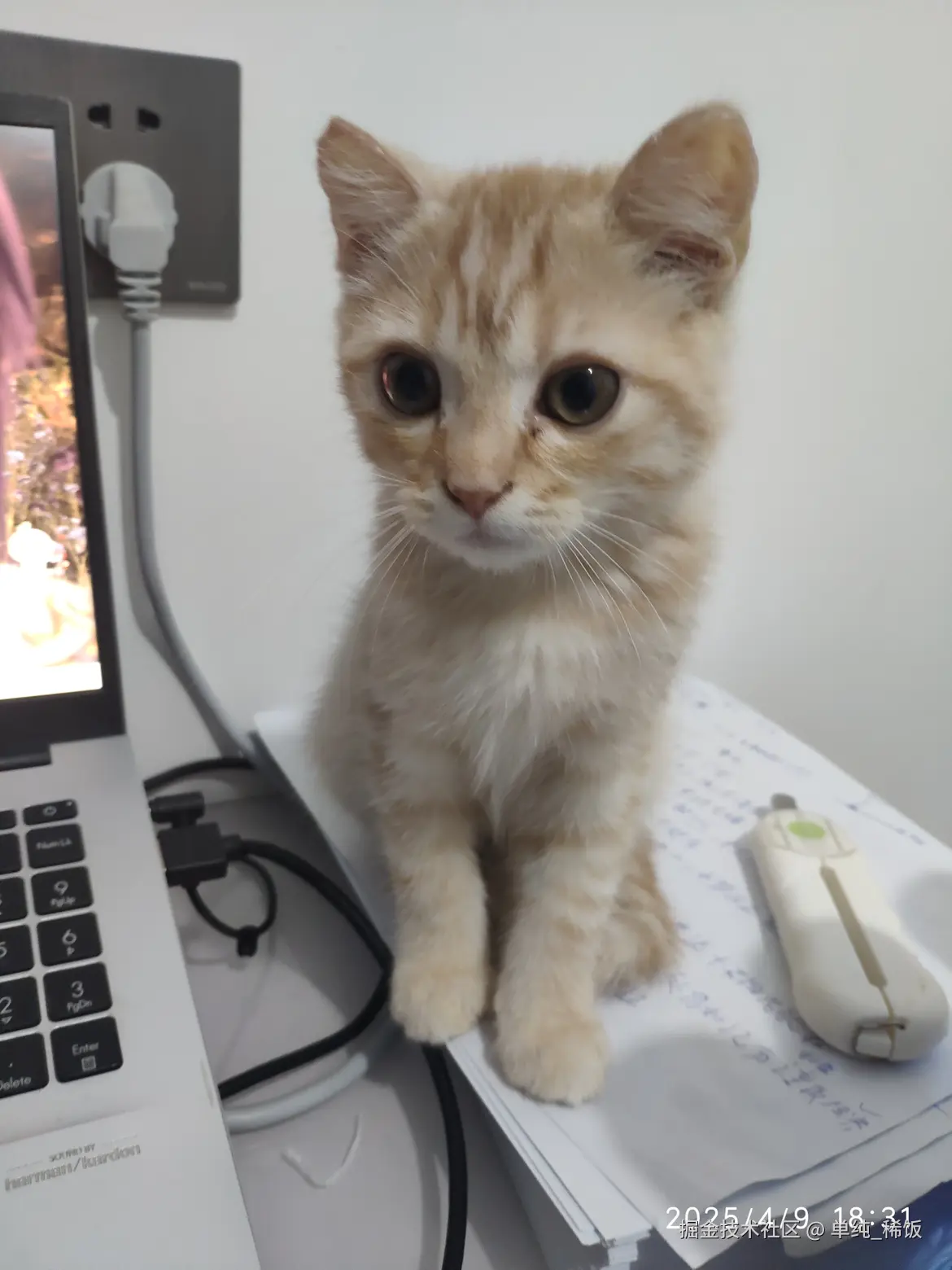 单纯_稀饭于2025-04-10 13:26发布的图片