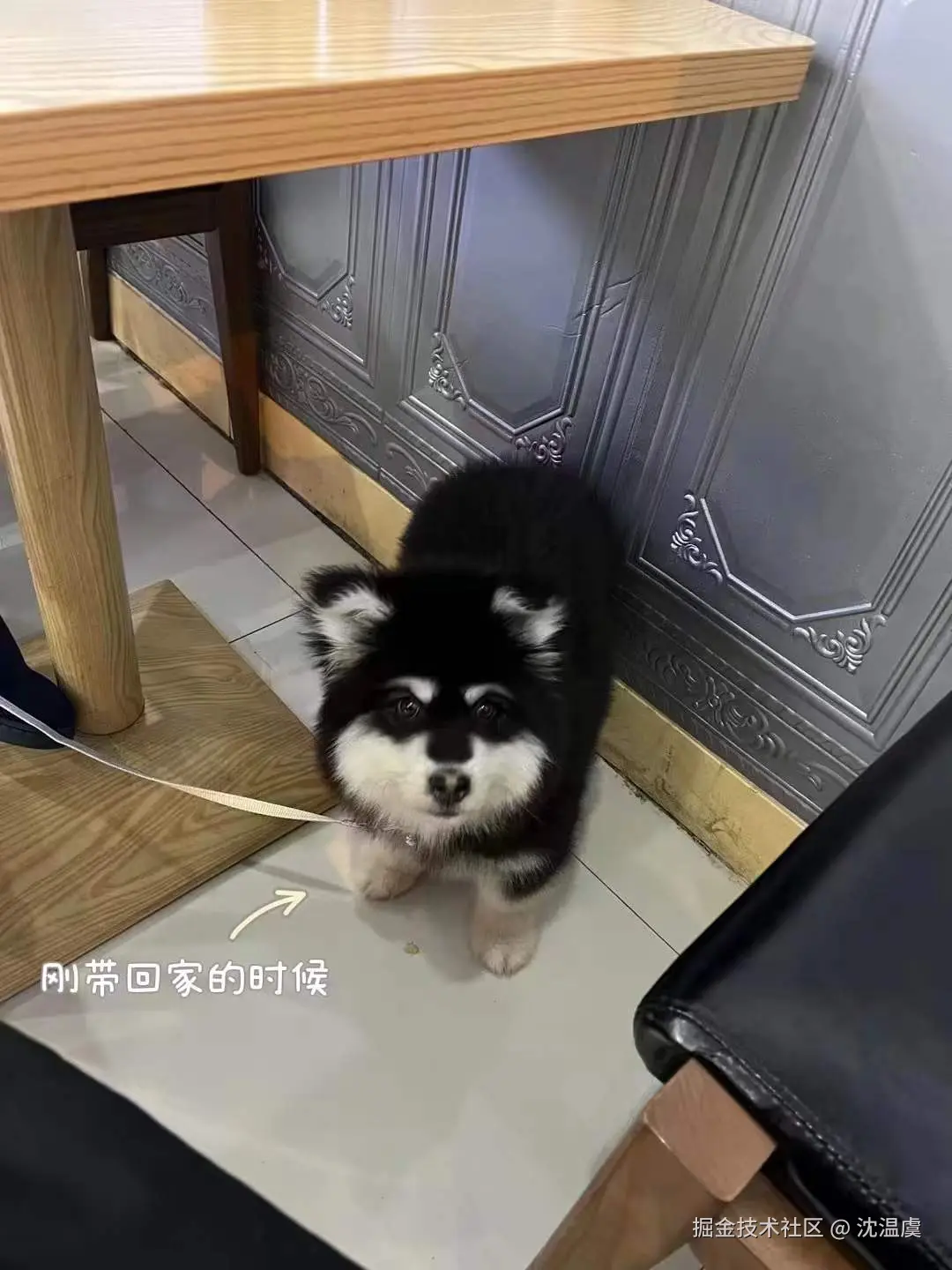 沈温虞于2026-02-09 14:39发布的图片