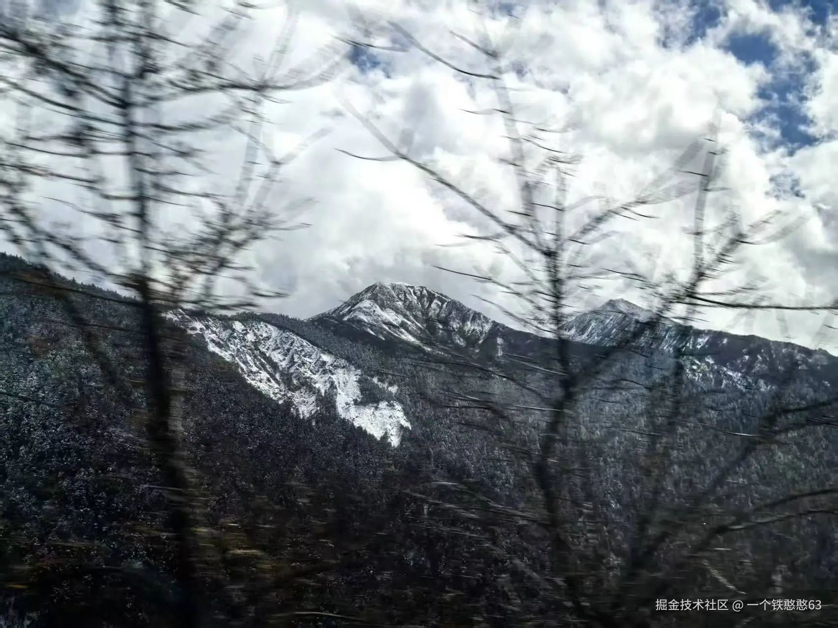 一个铁憨憨63于2026-03-05 14:35发布的图片