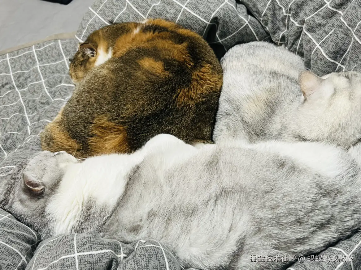 蚂蚁蚂蚁敲敲于2024-12-16 09:31发布的图片