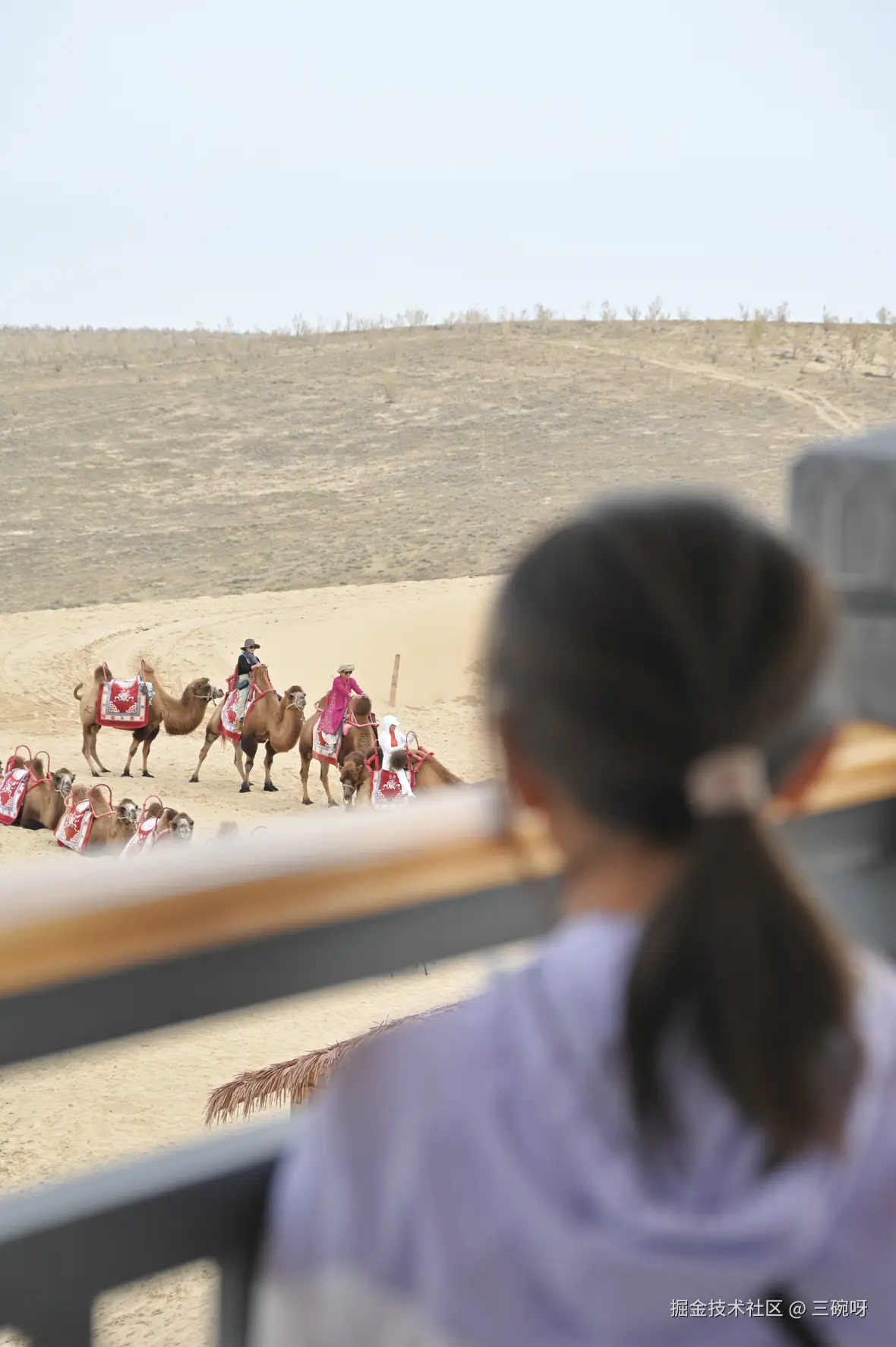 三碗呀于2025-10-15 16:19发布的图片