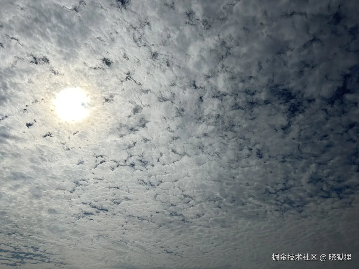 晓狐狸于2024-11-23 11:08发布的图片