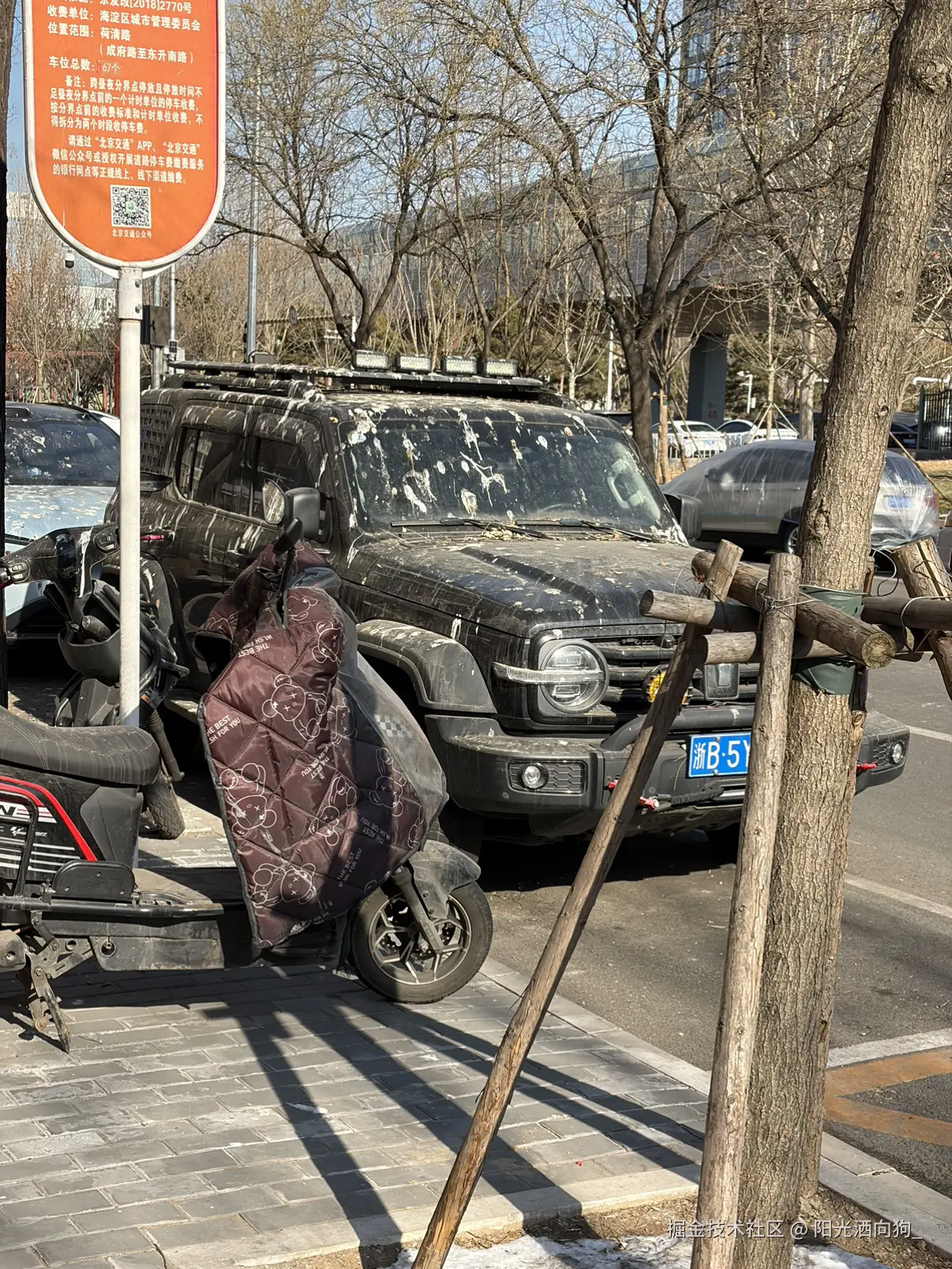 阳光洒向狗_于2026-01-23 14:23发布的图片