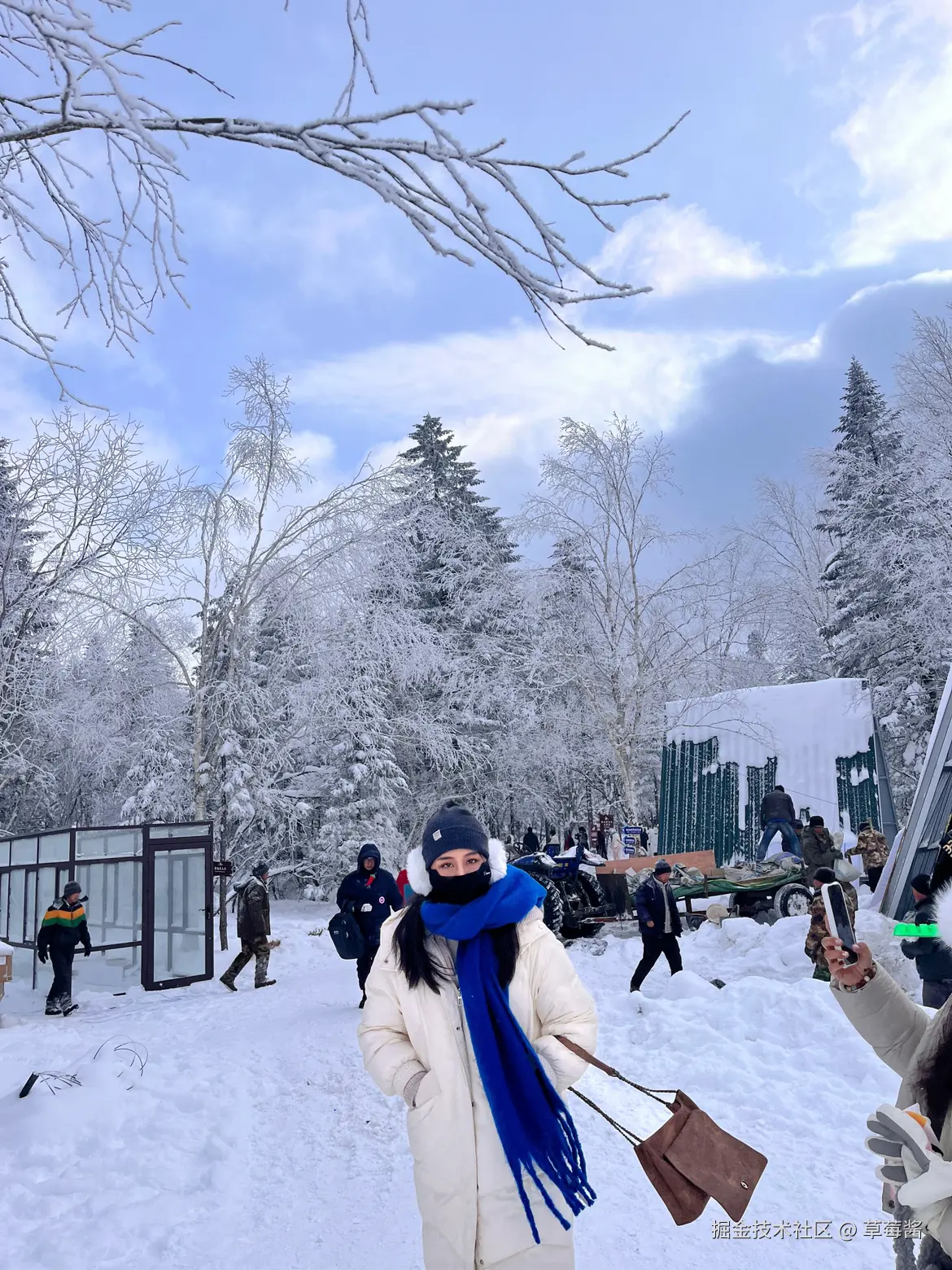 草莓酱于2024-12-23 09:12发布的图片