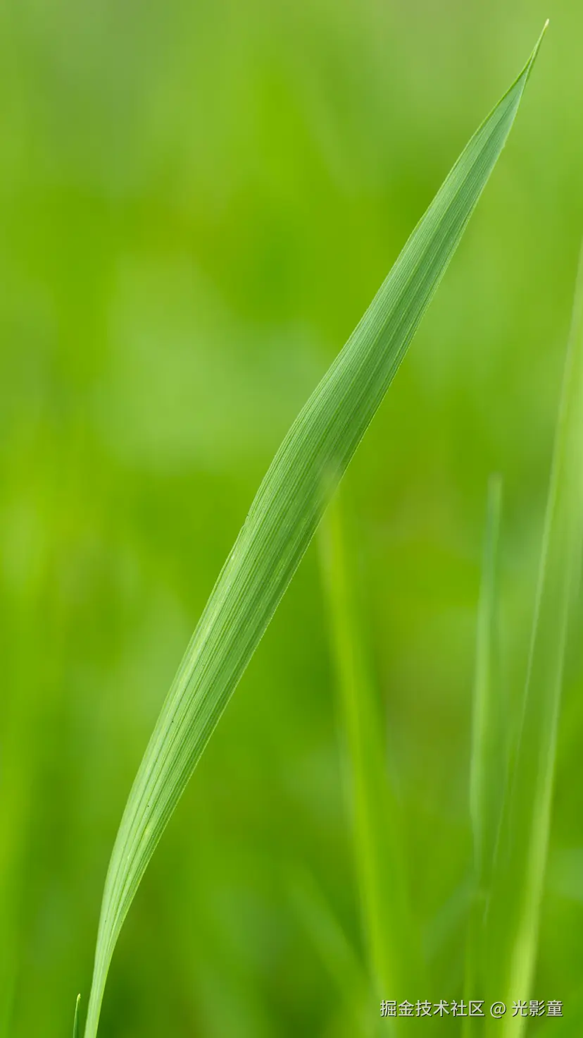 光影童于2025-08-06 09:16发布的图片