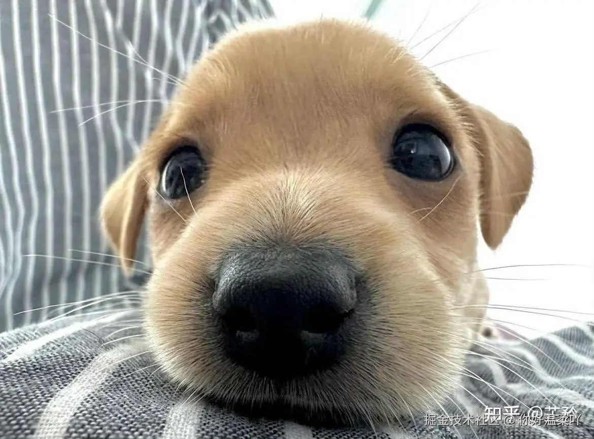 你好温柔吖于2025-05-16 15:41发布的图片